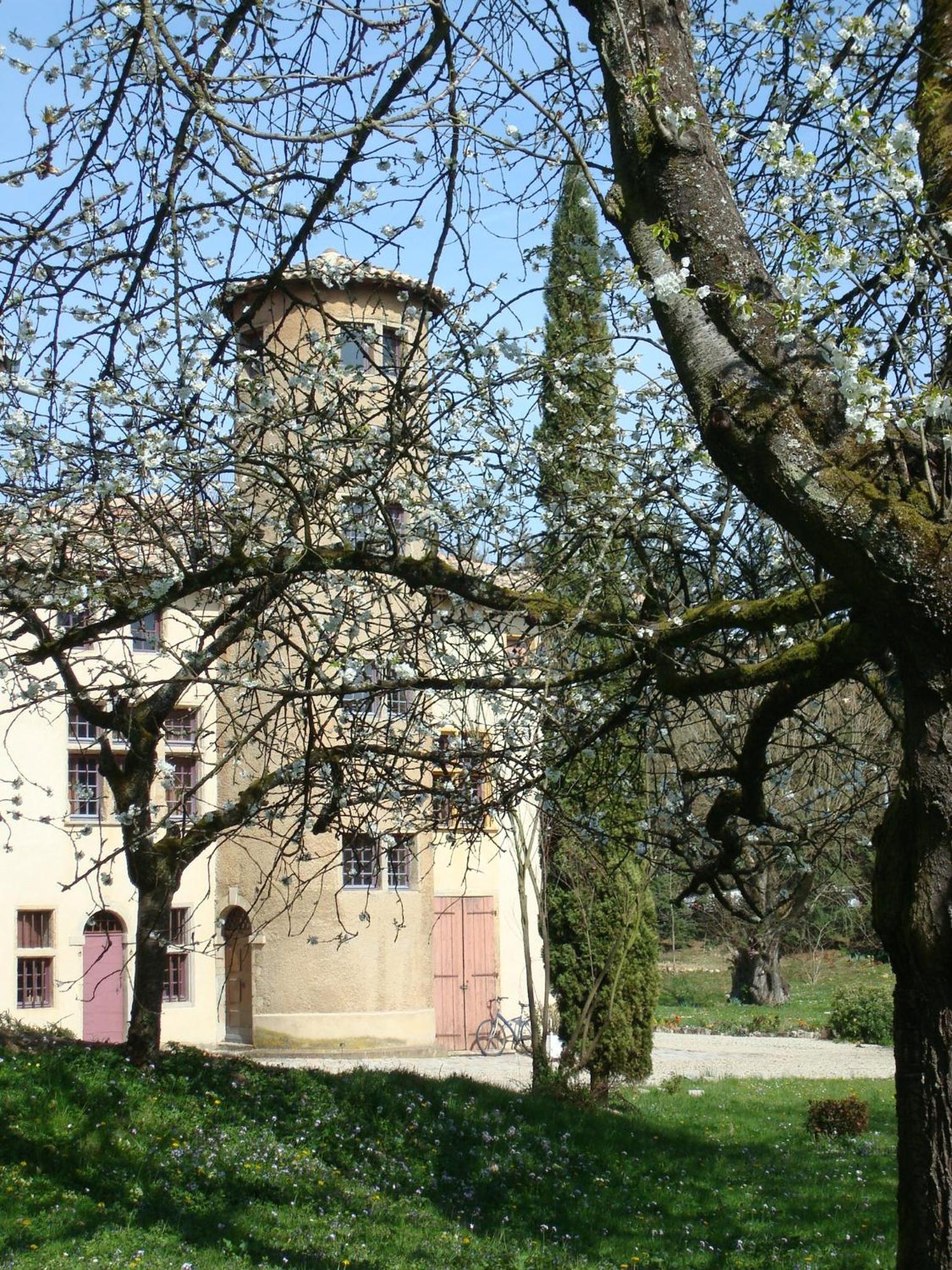 Photo 26