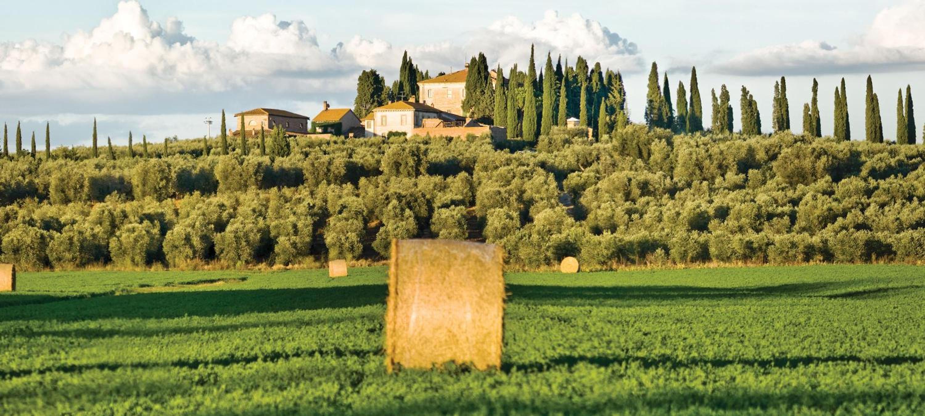 Tenuta di Poggio Cavallo