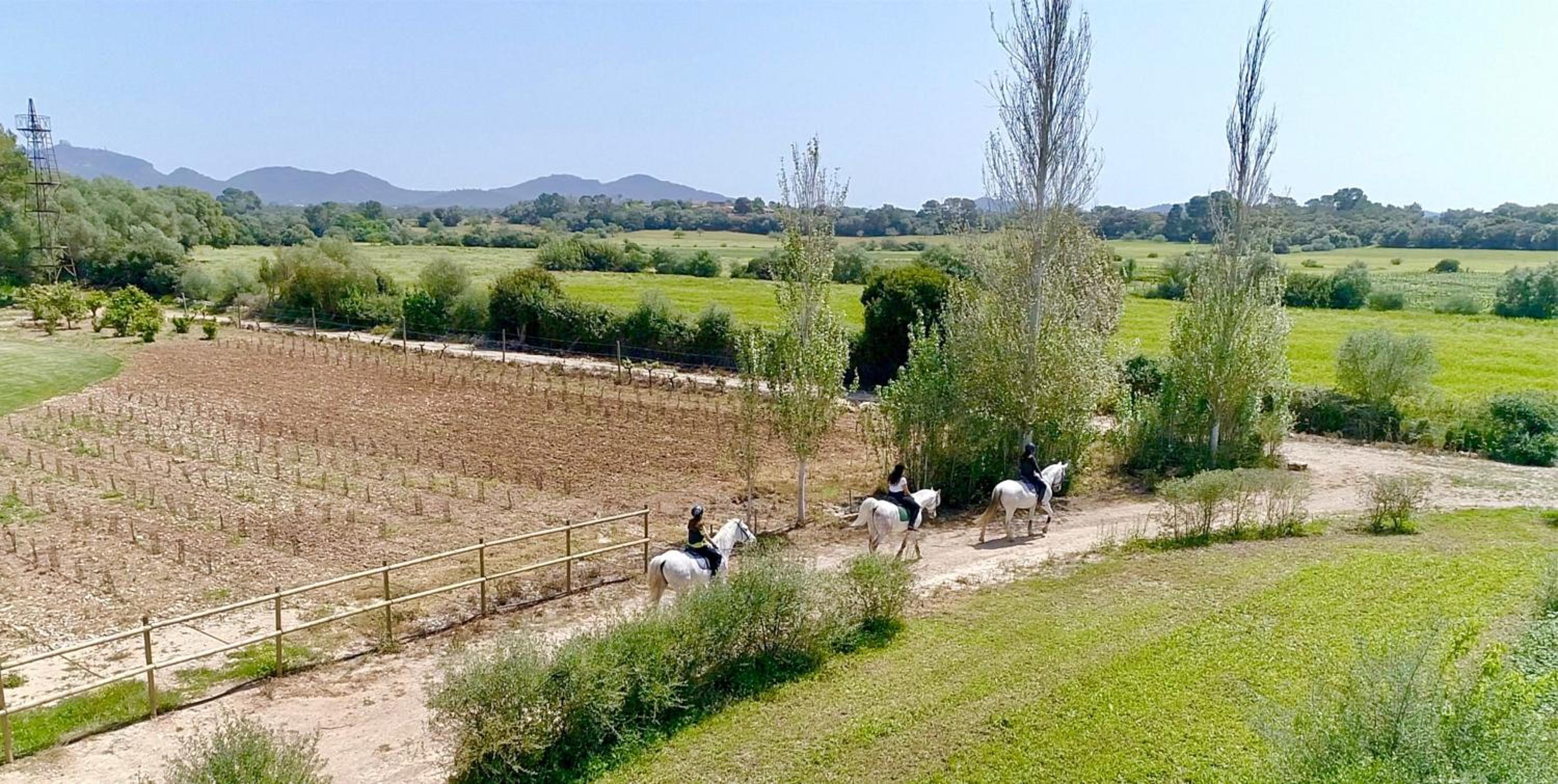 Finca Agroturismo Son Menut