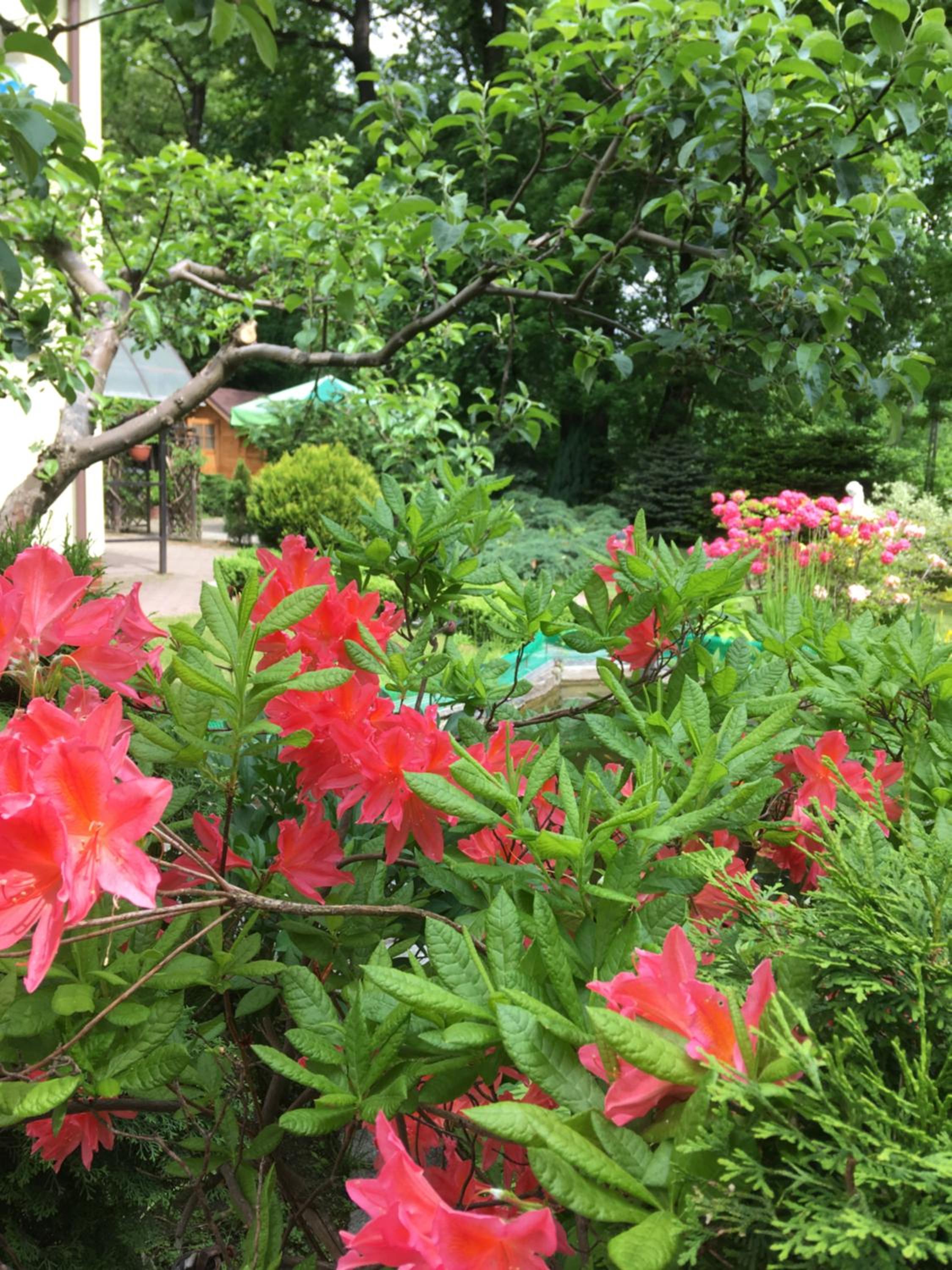 Photo 17