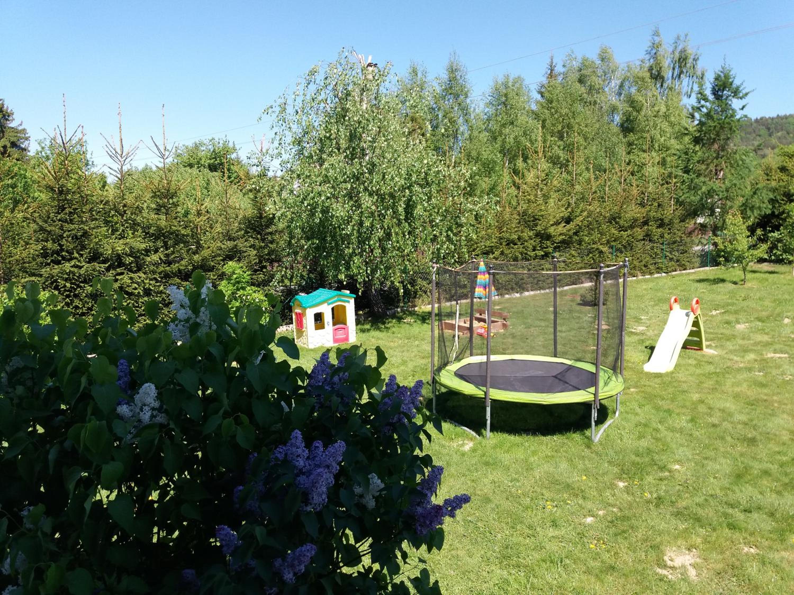 Photo 46
