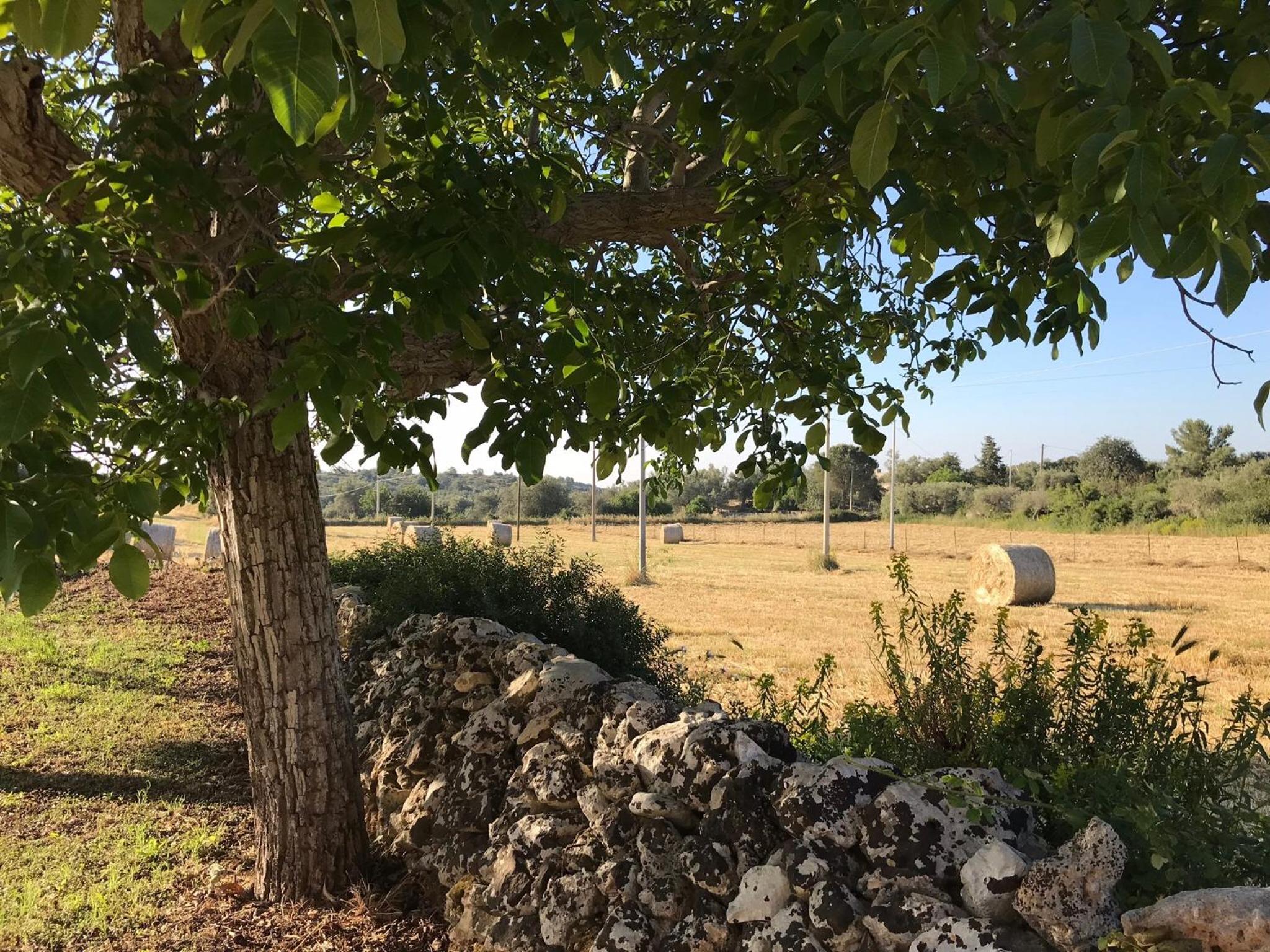Photo 38