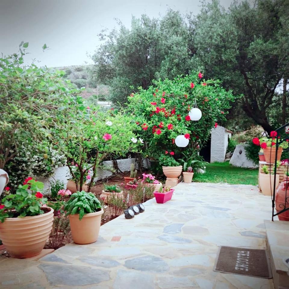 Photo 10