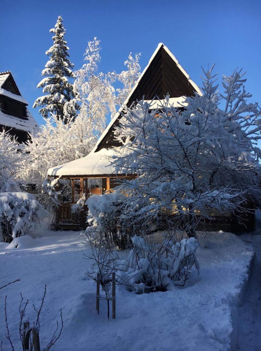Domek Leśny view 5