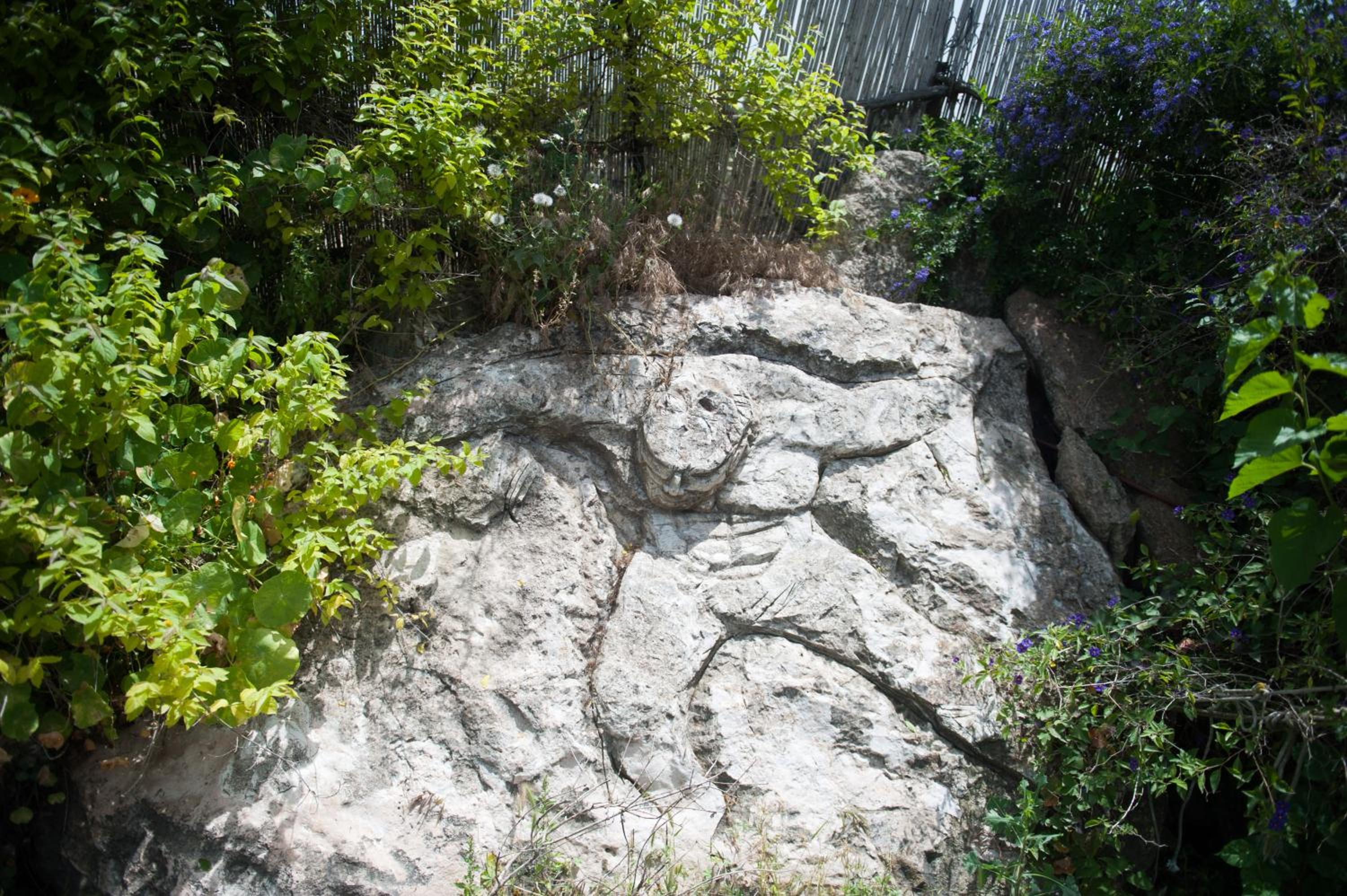 Photo 13