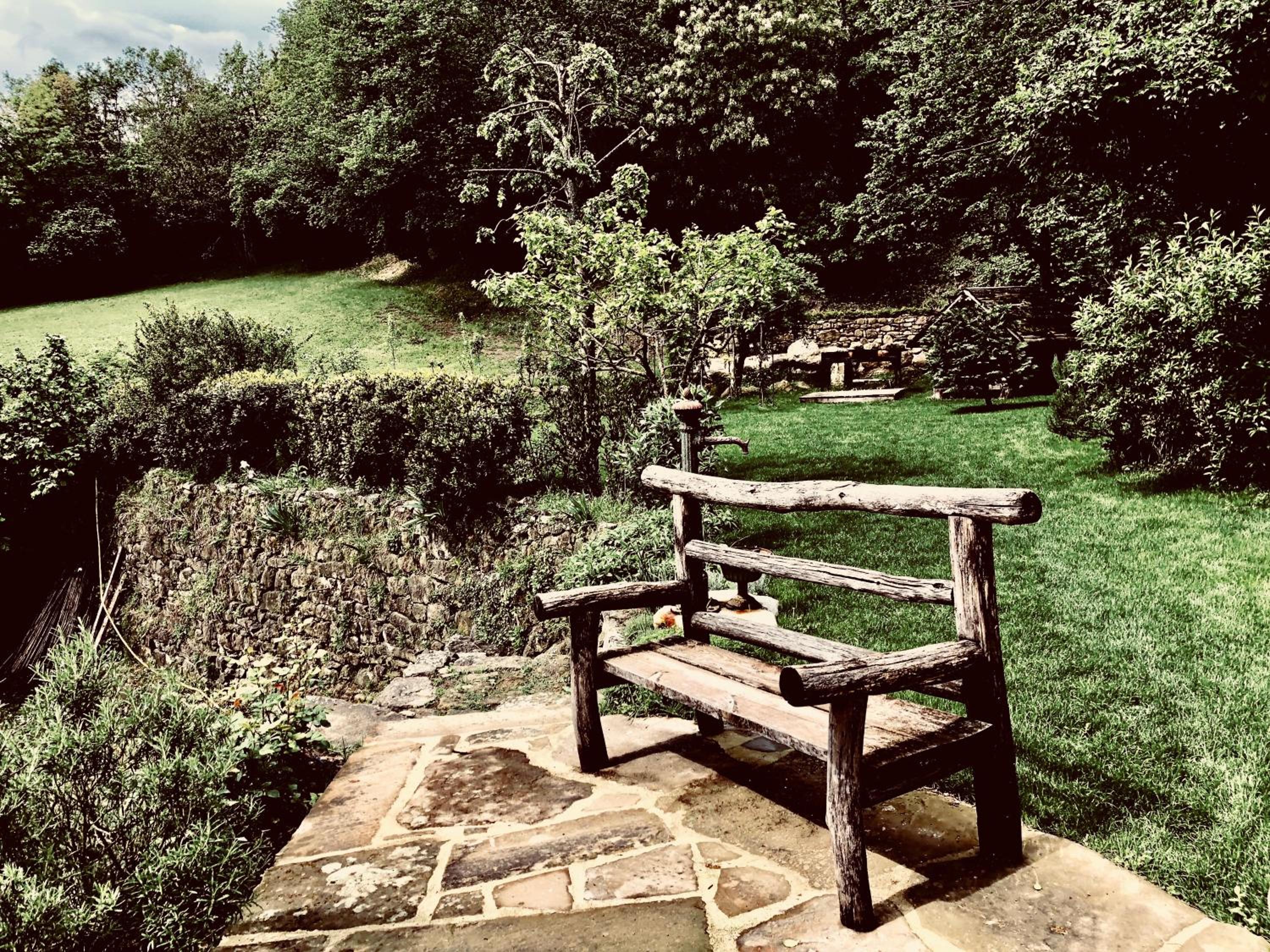 Photo 41