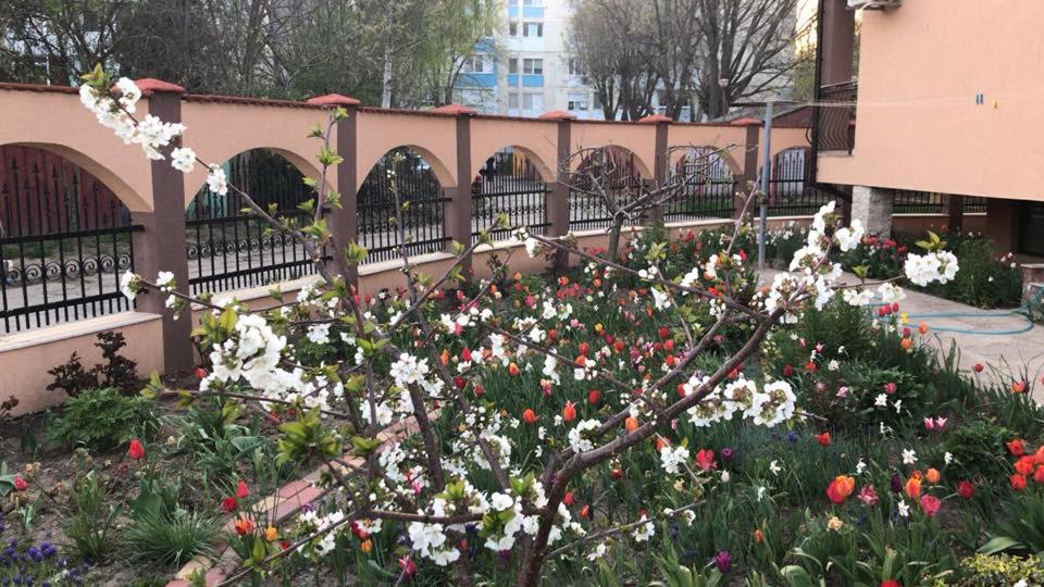 Photo 24