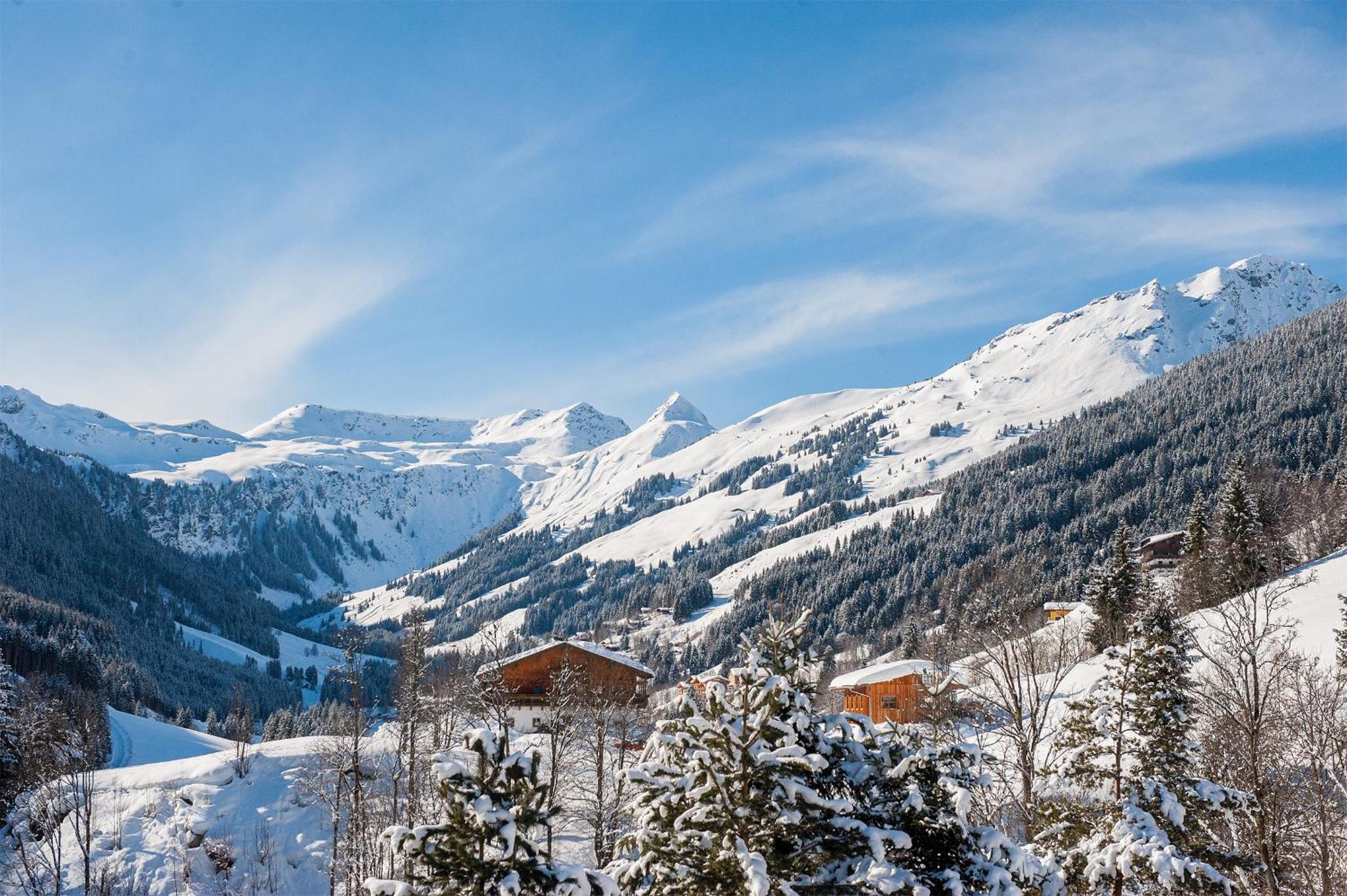 Appartement Berghof
