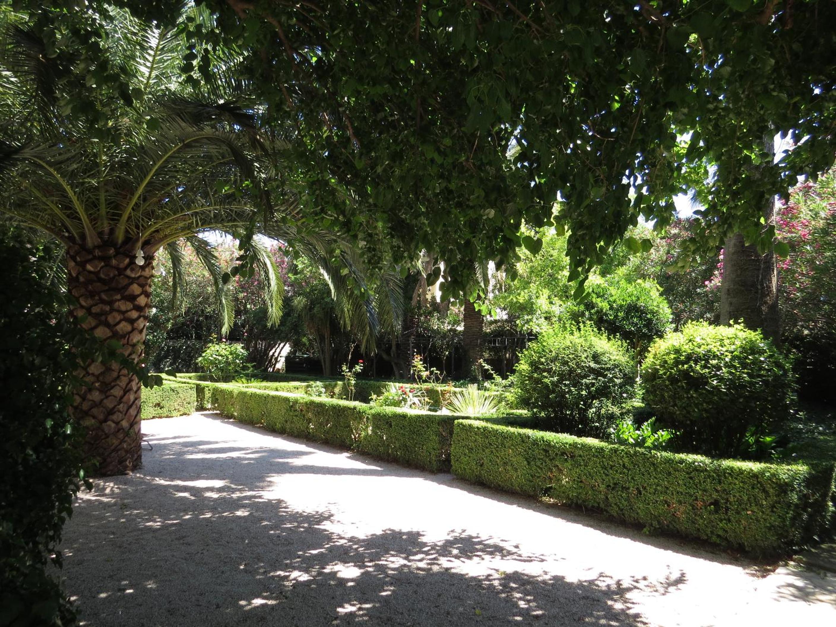 Photo 10