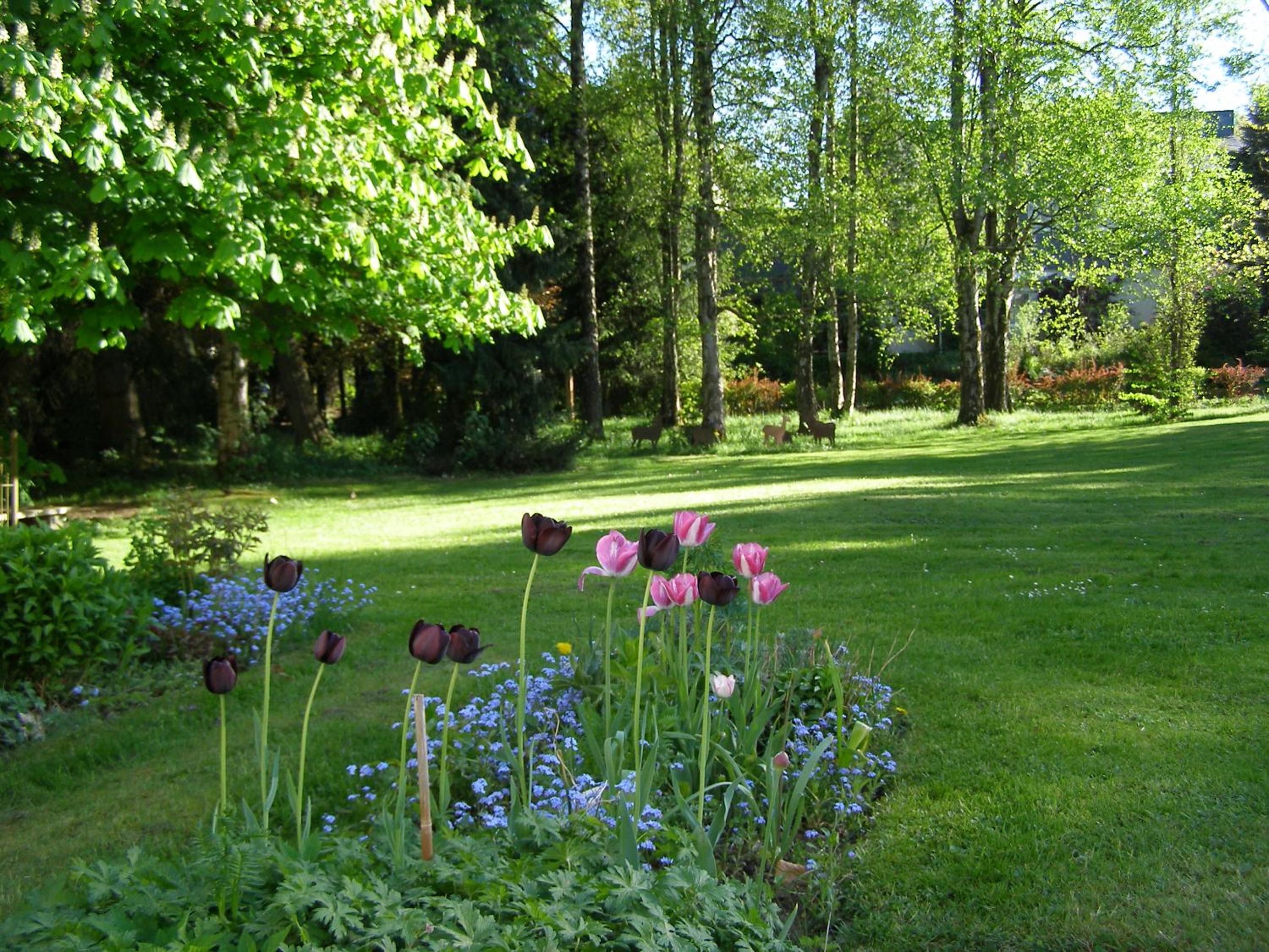 Hotel Haus Katharina B&B, Therme und Kurpark