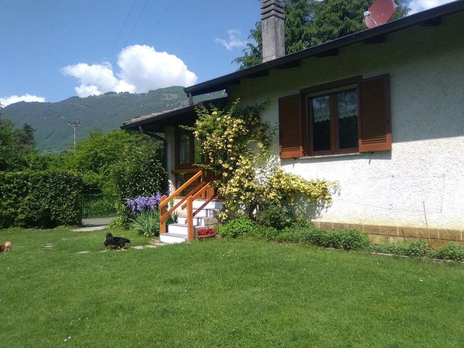 Photo 6