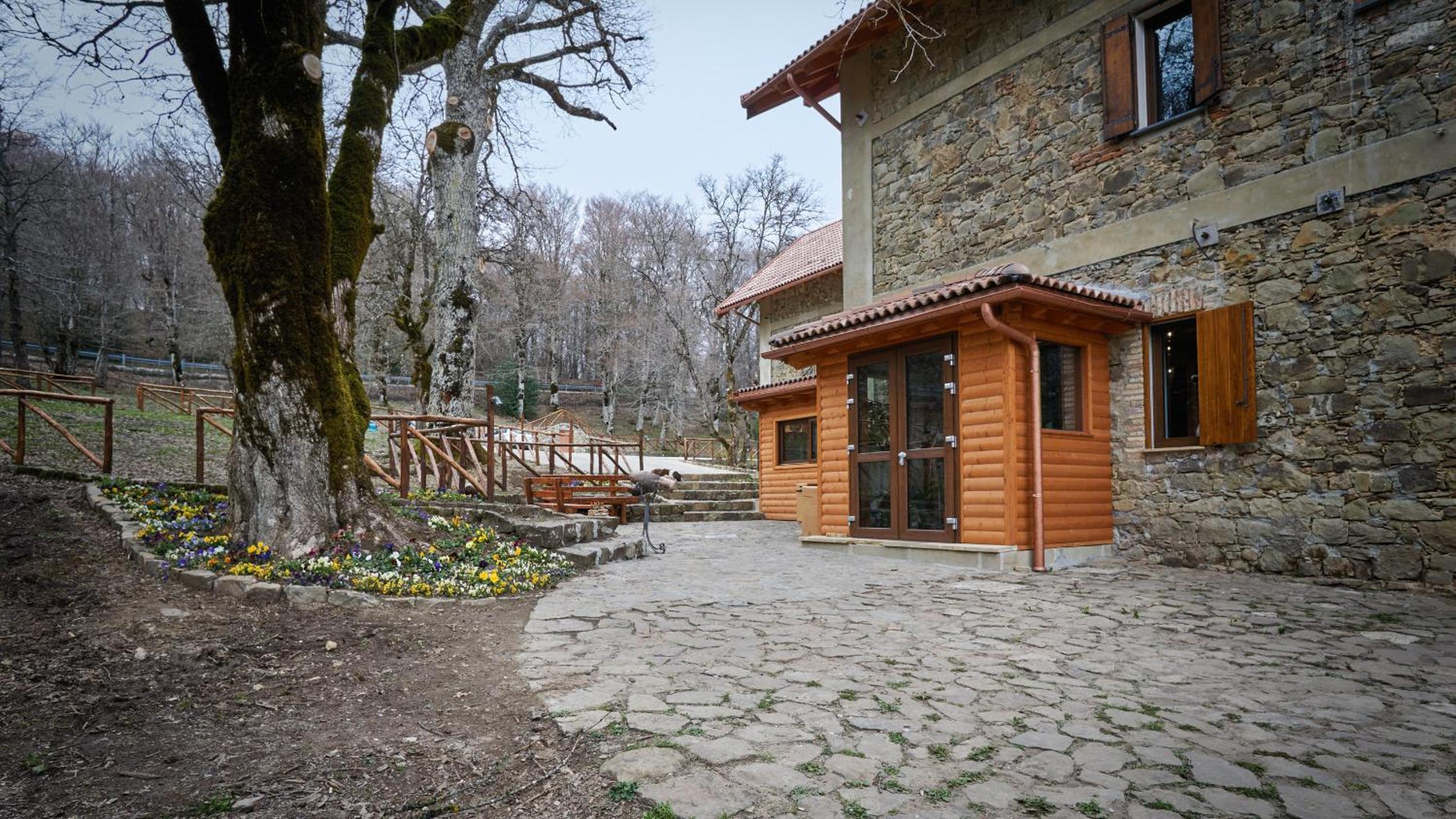 Photo 14