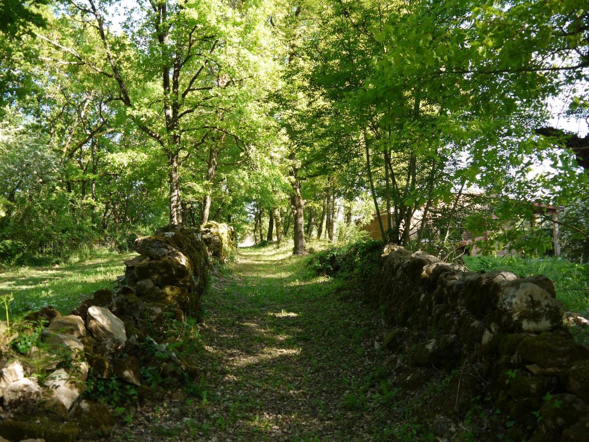 Photo 44