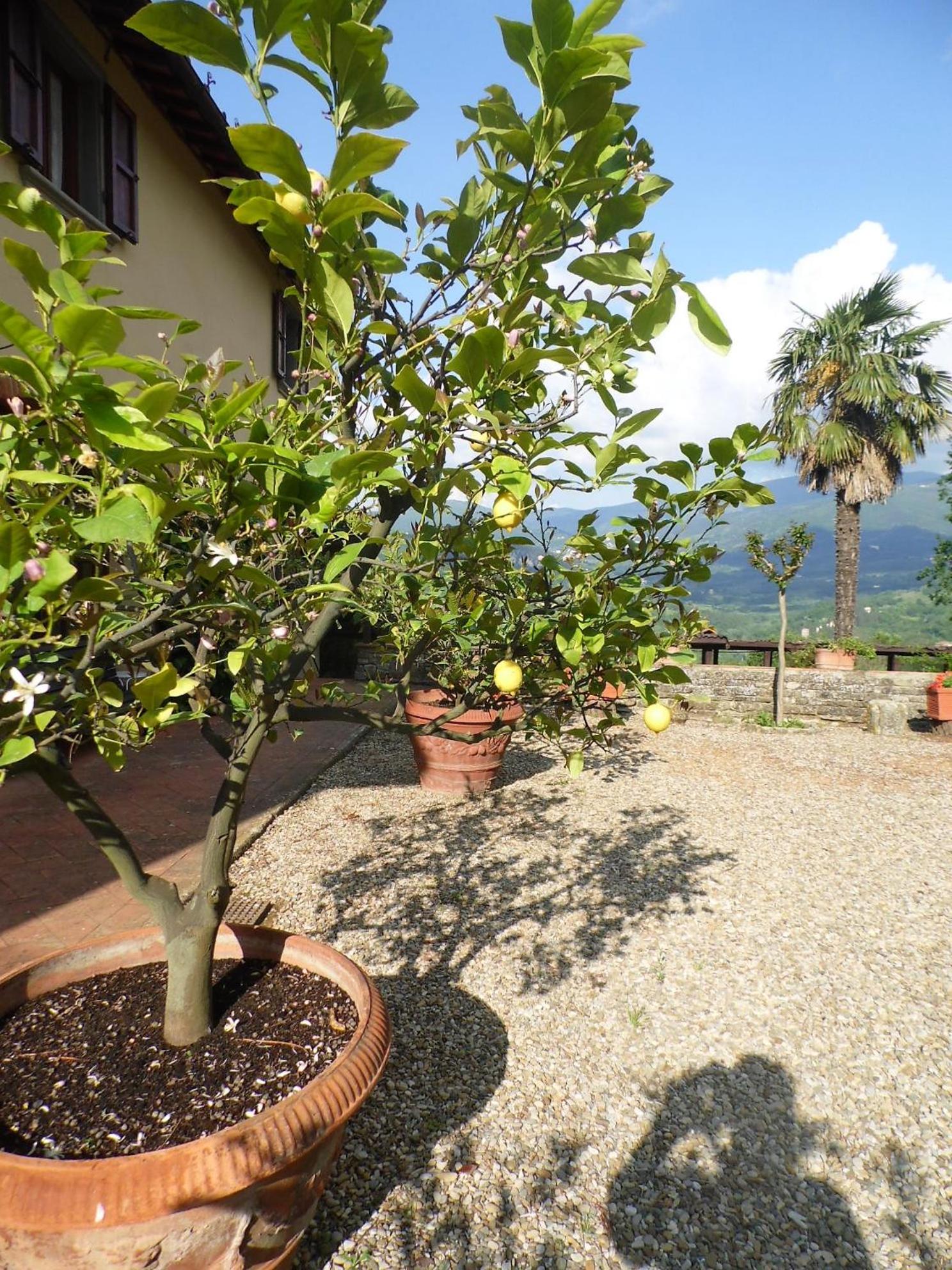 Villa Francesca