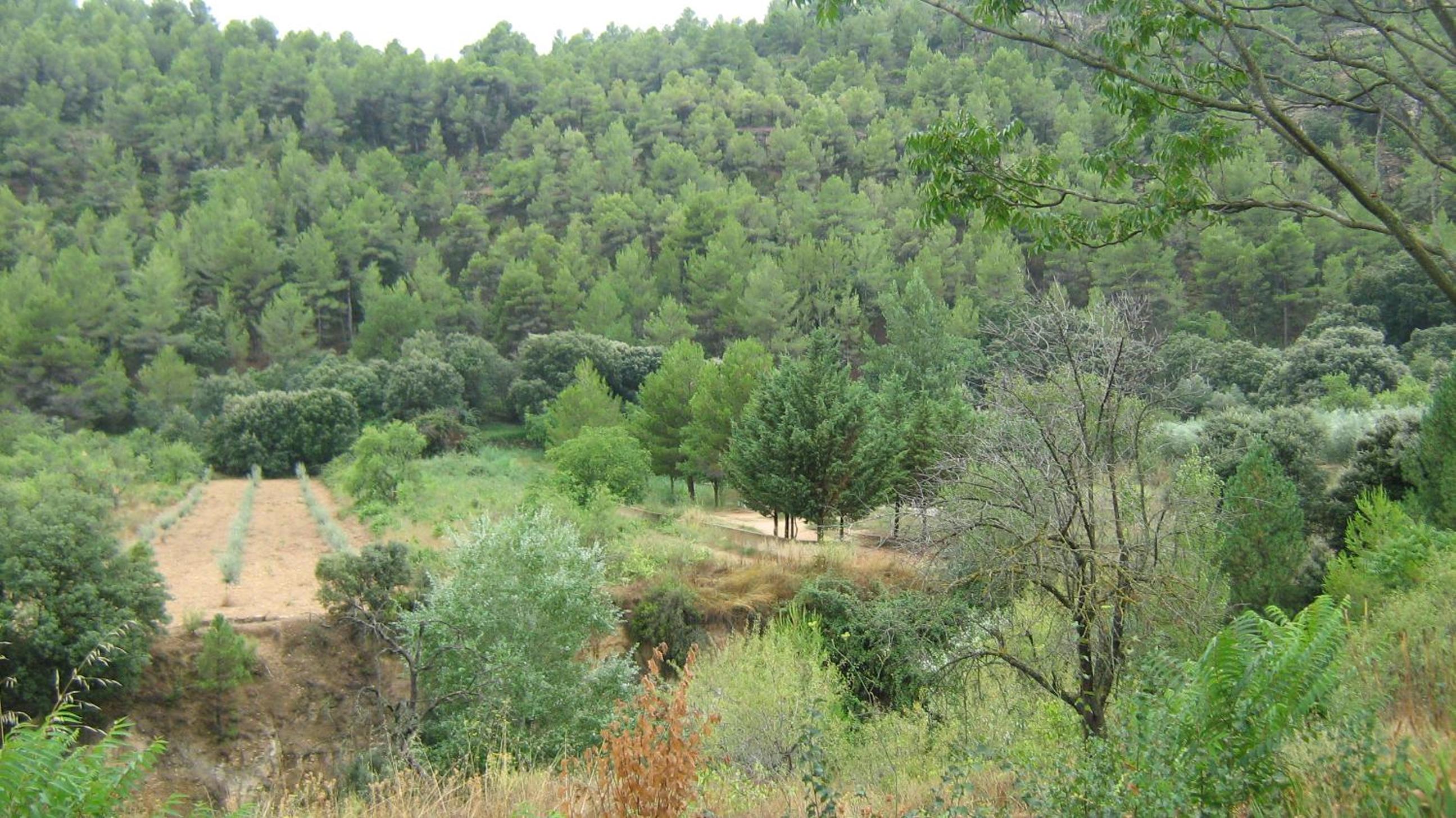 Photo 23