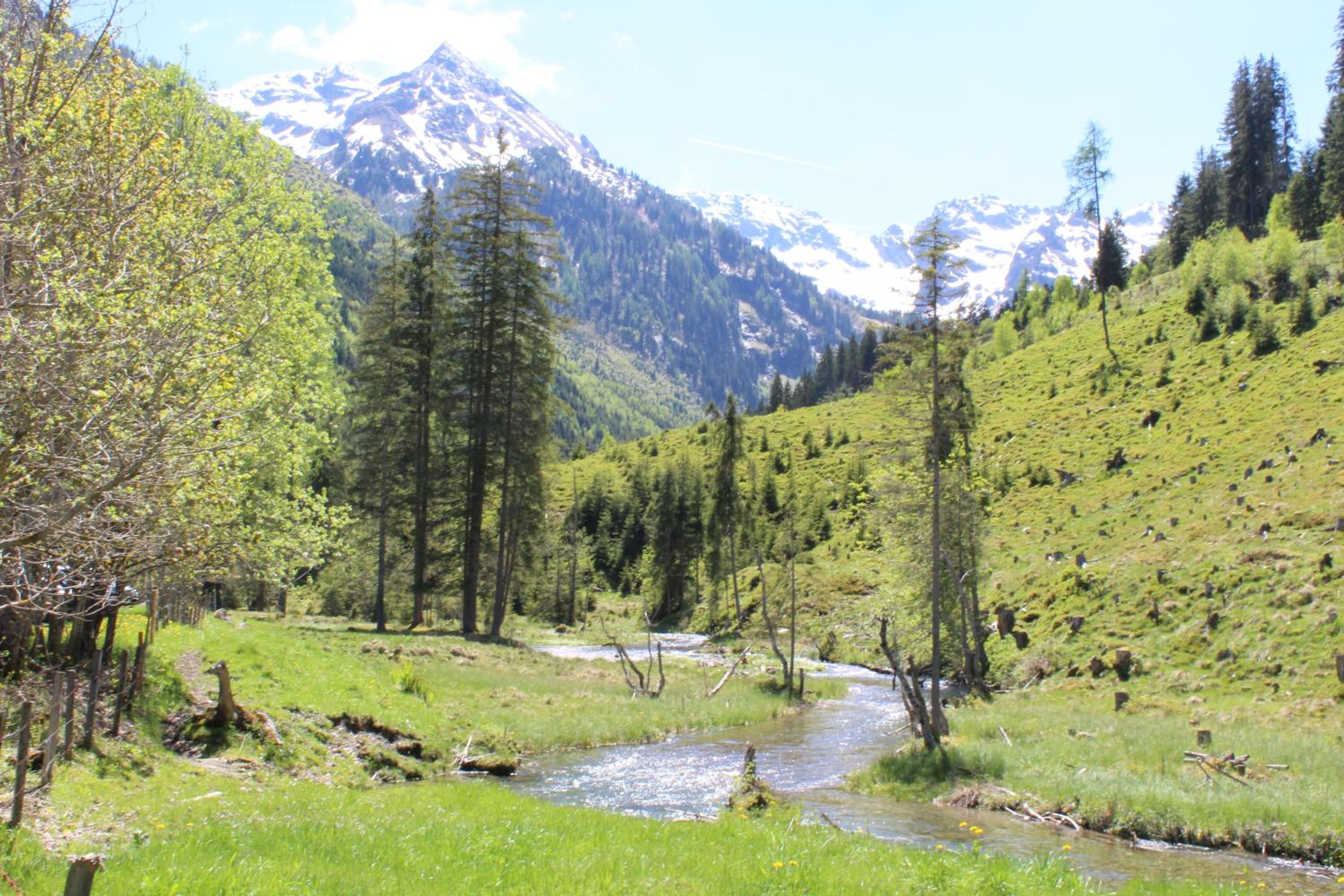 Zauneralm