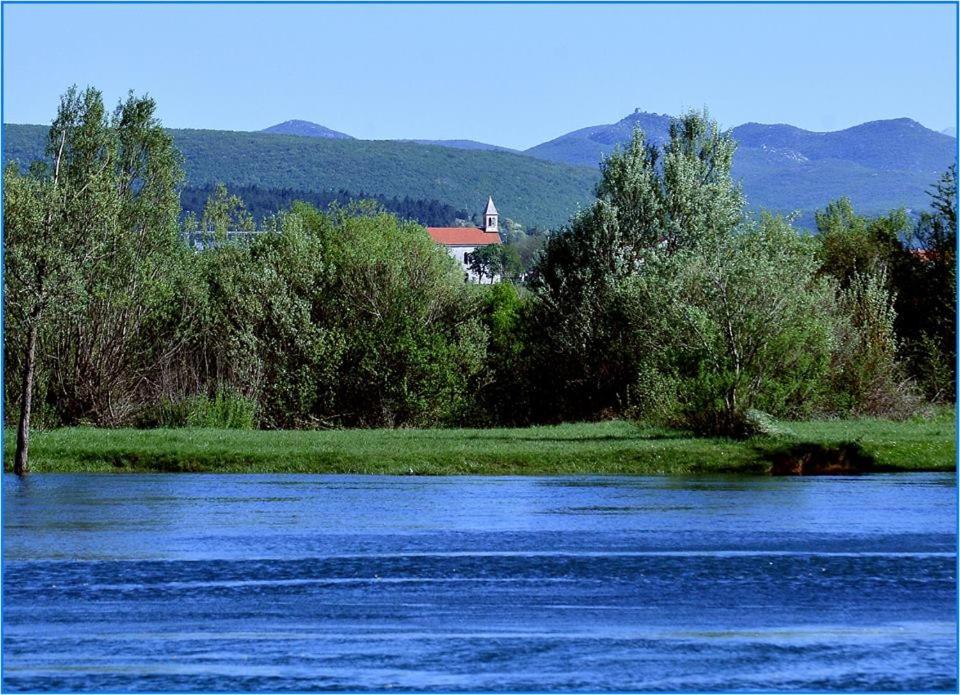 Photo 33