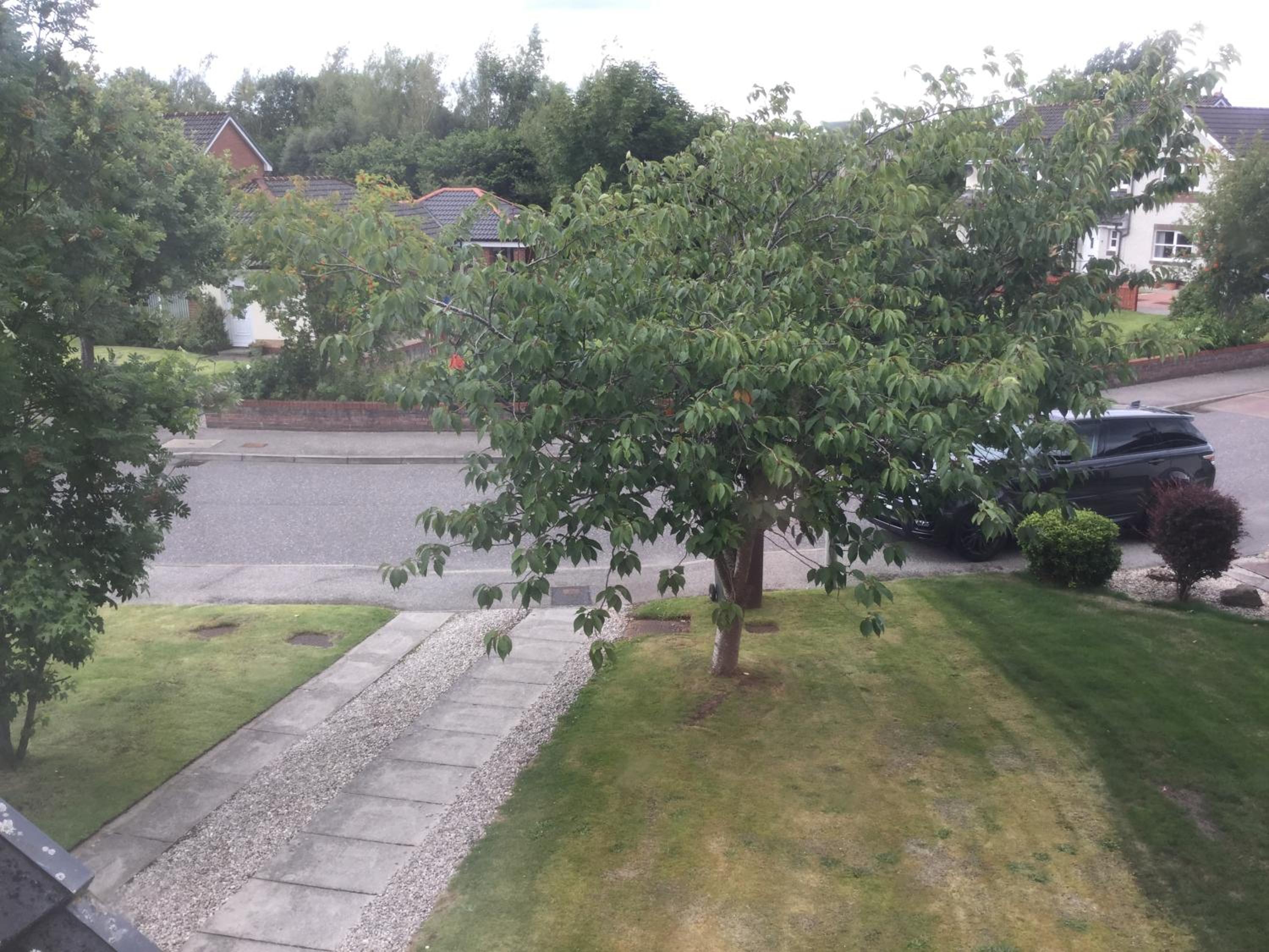 Photo 25