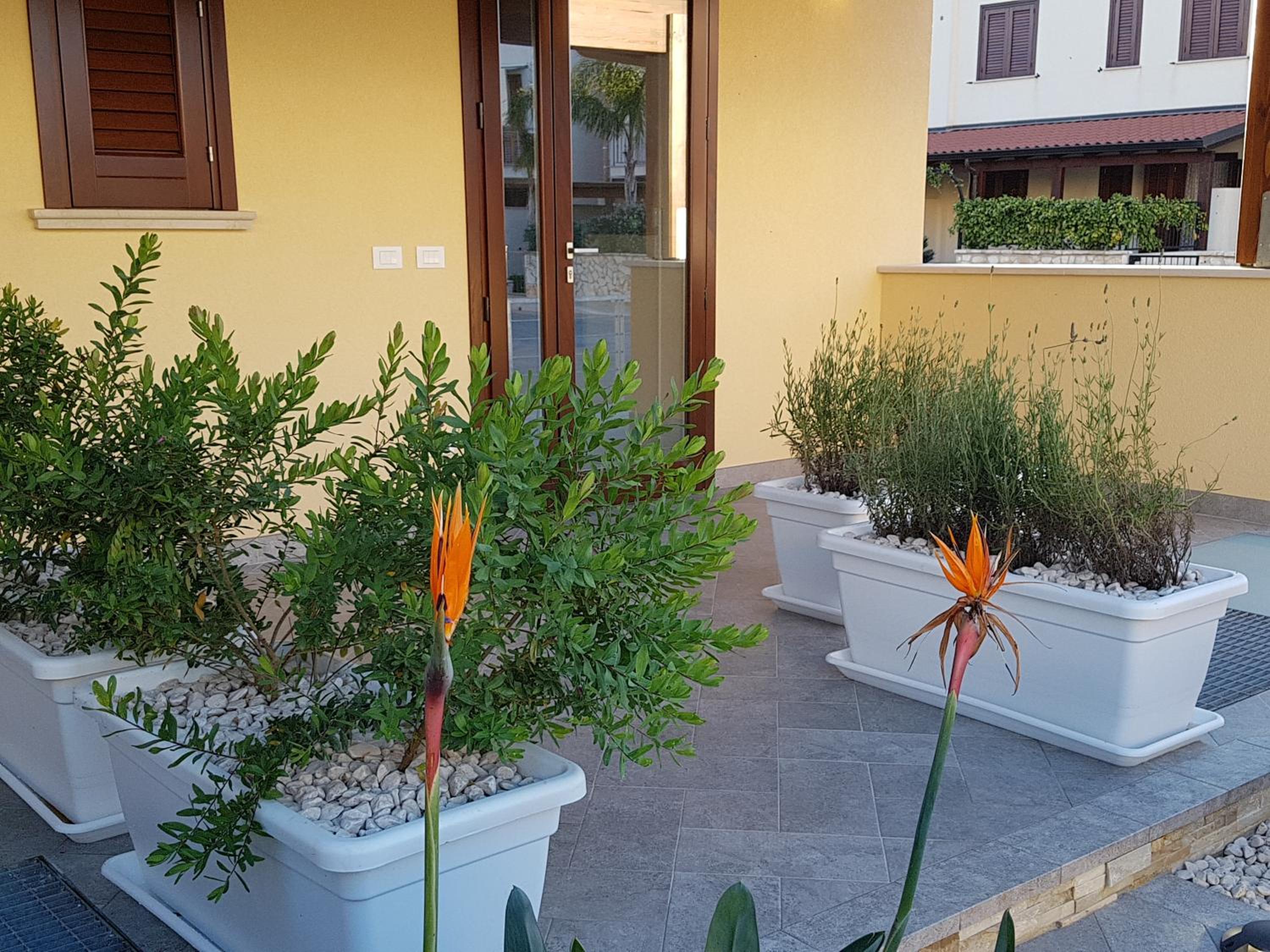 Photo 44