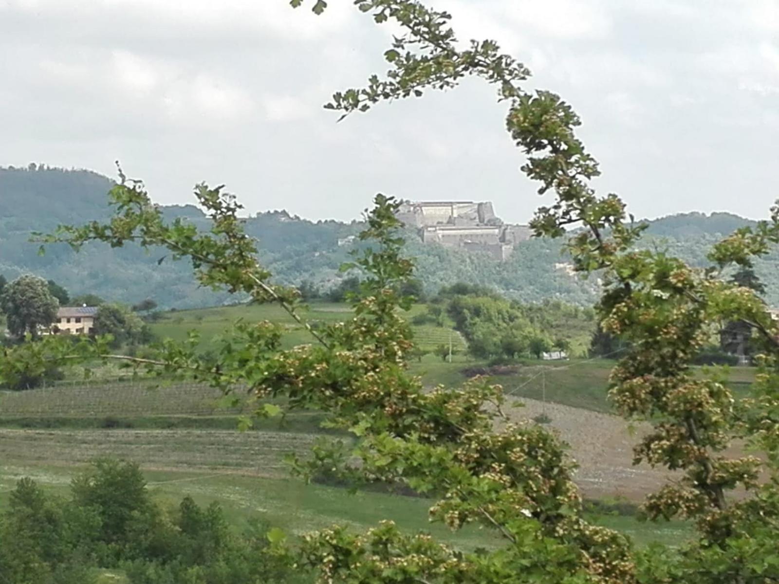 B&B Borgo Cortese