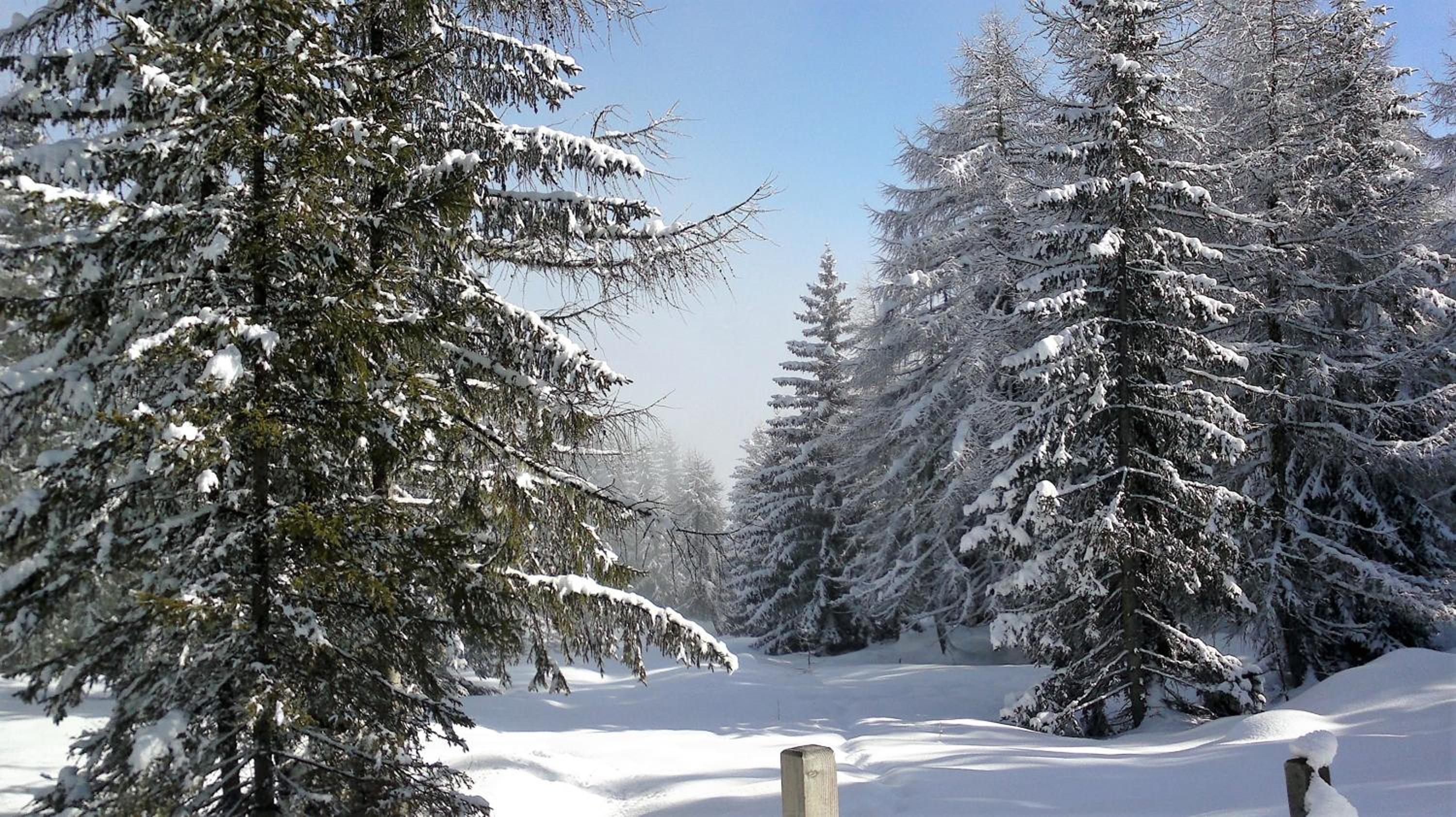 Ferienwohnung Dolomitenpanorama