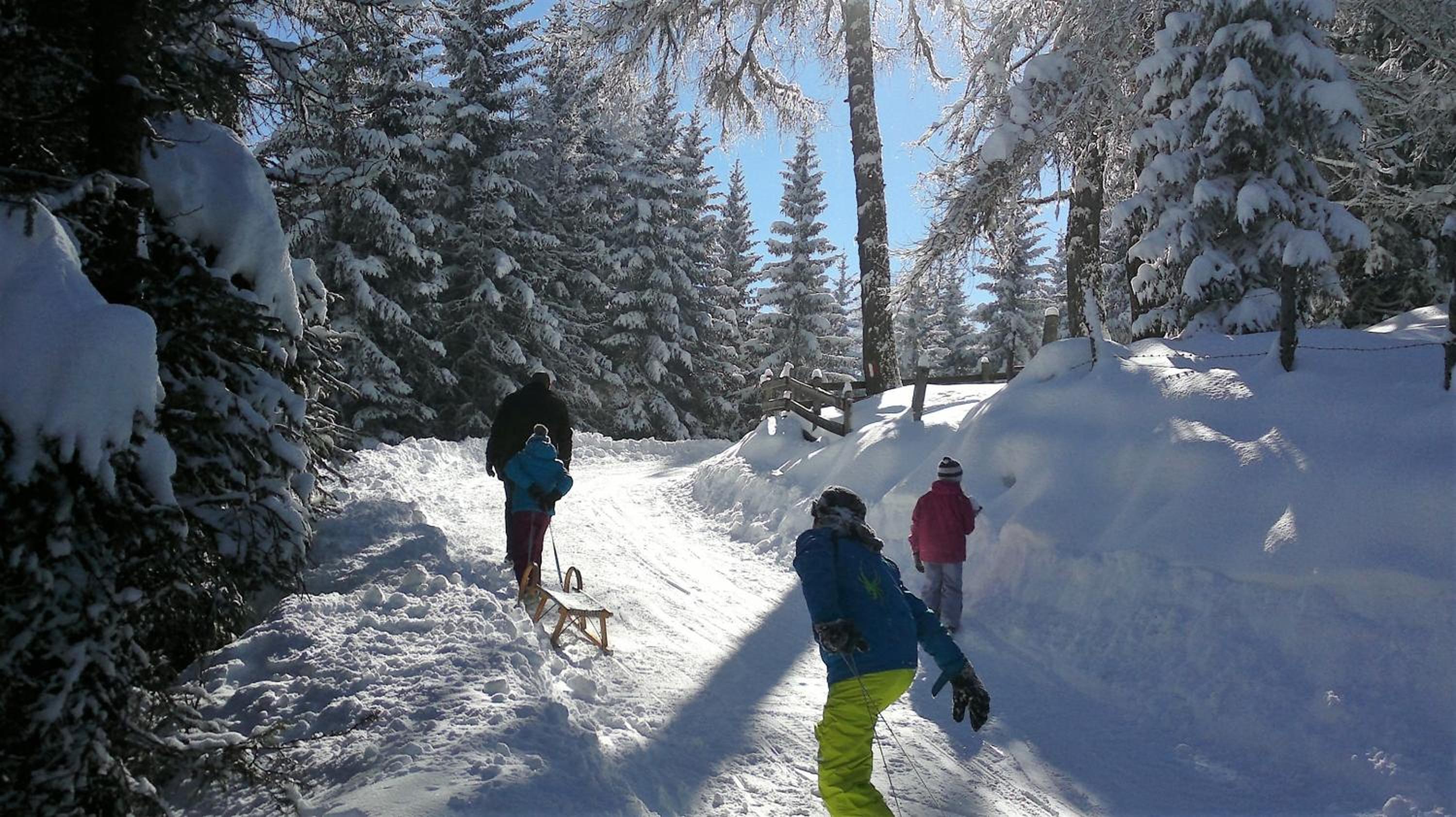 Ferienwohnung Dolomitenpanorama