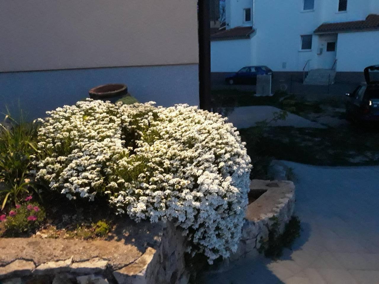 Apartment Viškovo