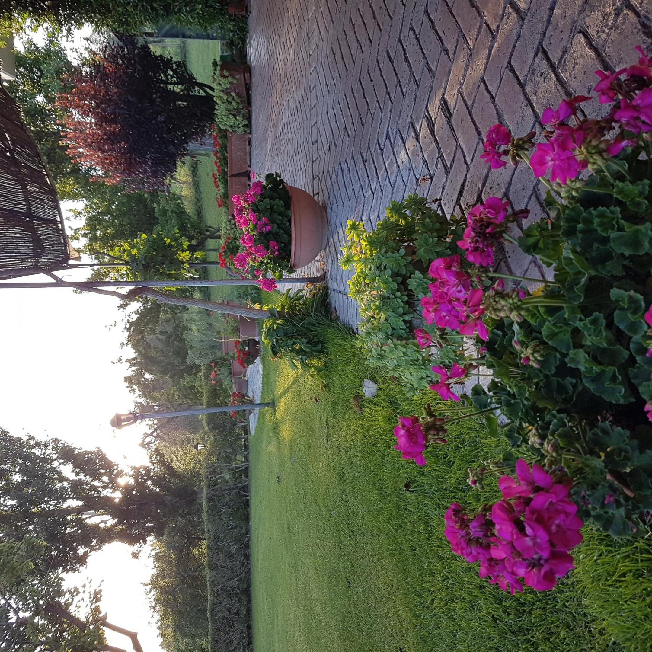 Photo 33