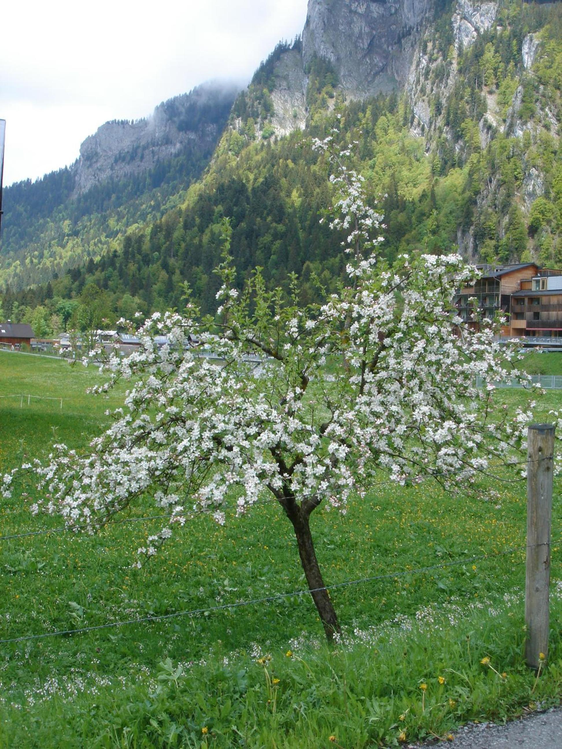 Frühstückspension Rüf