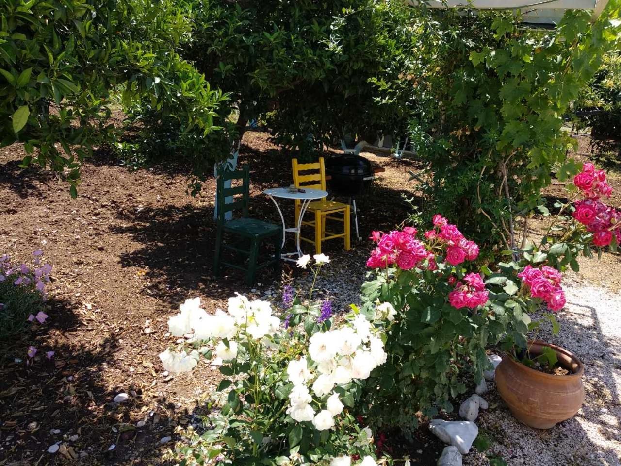 Photo 48