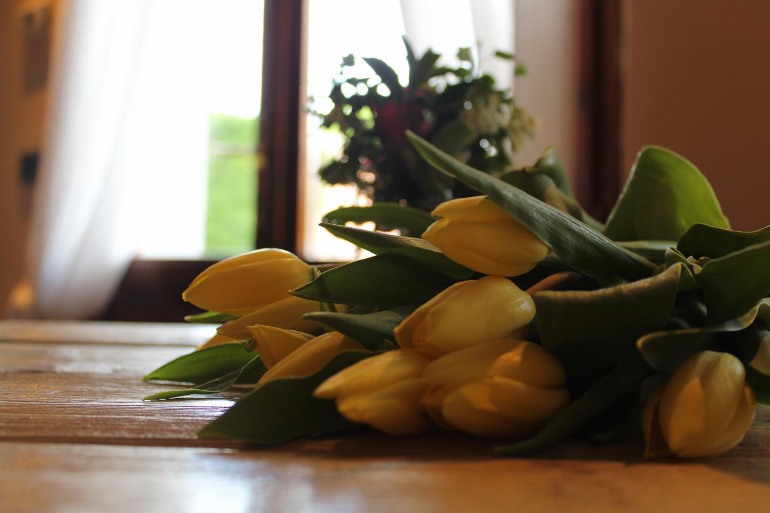 Photo 33