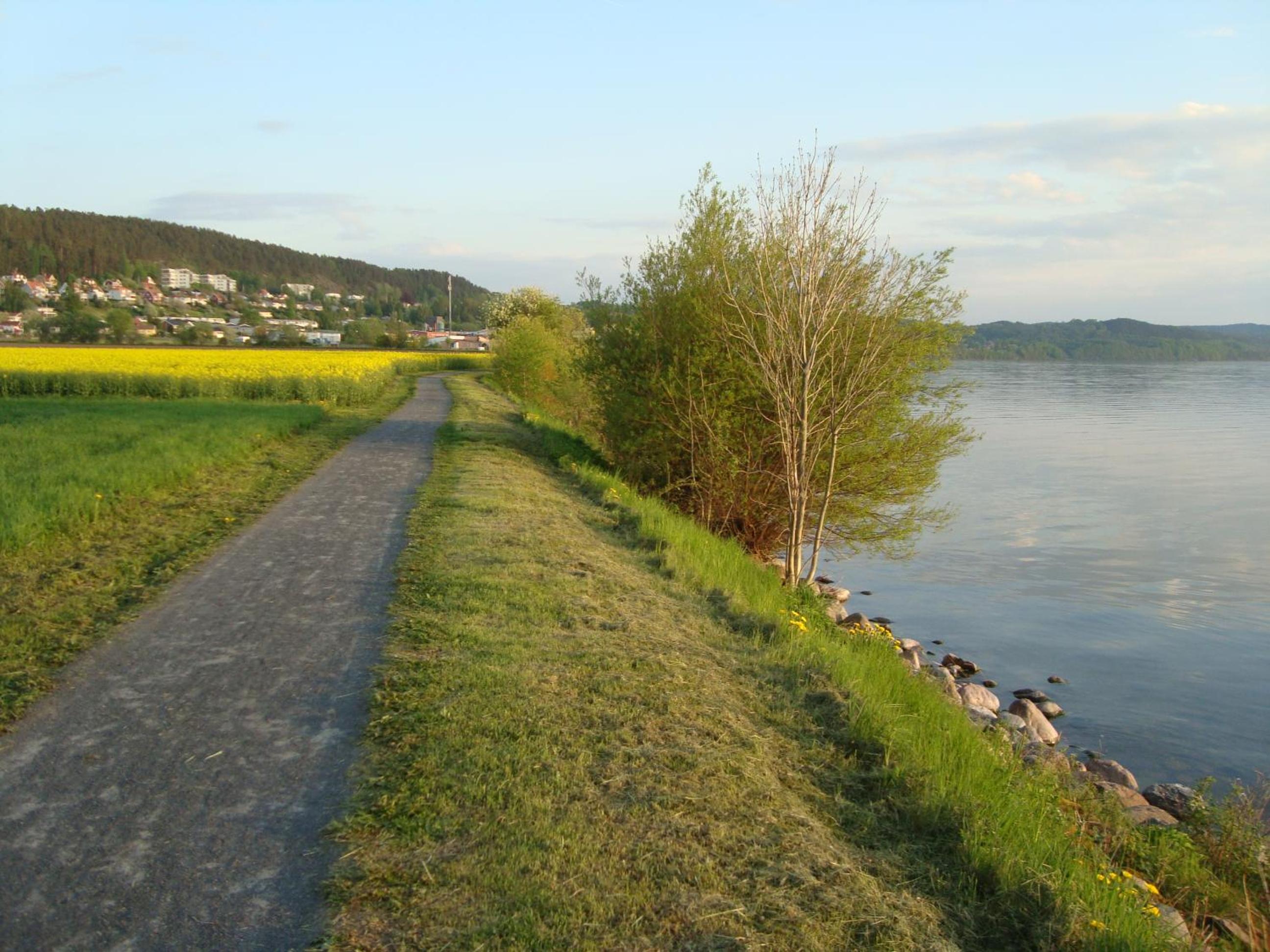 Photo 24