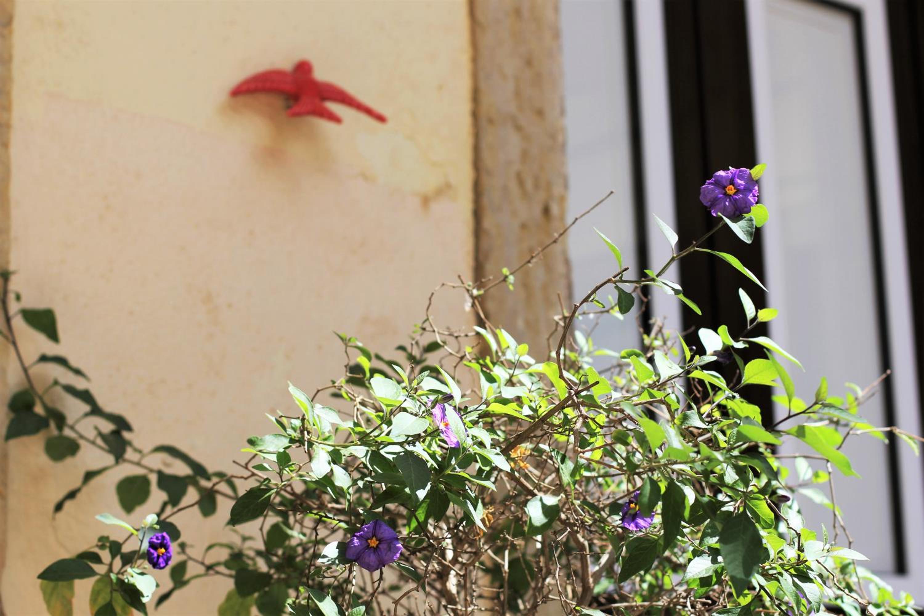 Lisbon Vacations - The Back Street Nest - Property Image 59