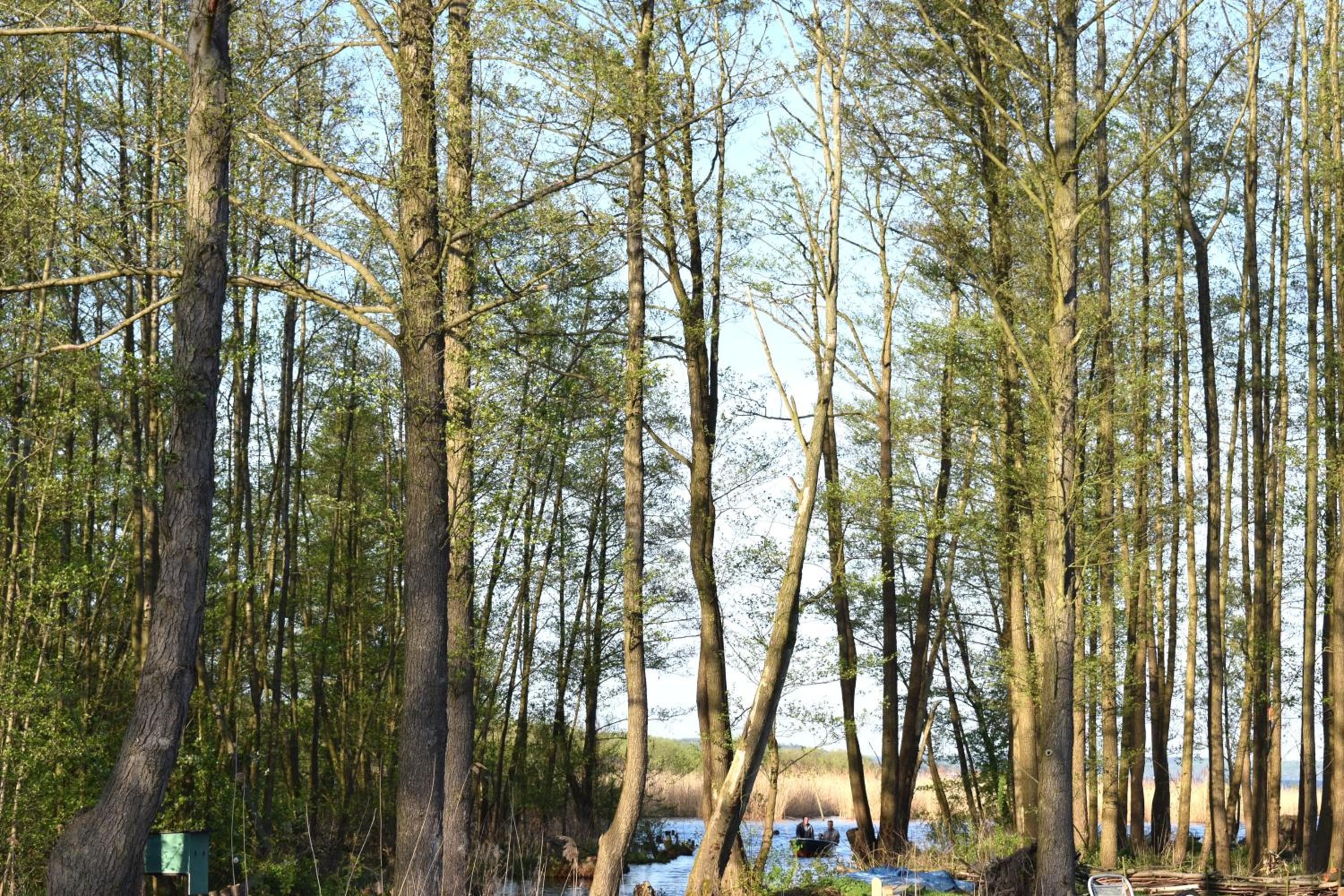 Photo 100