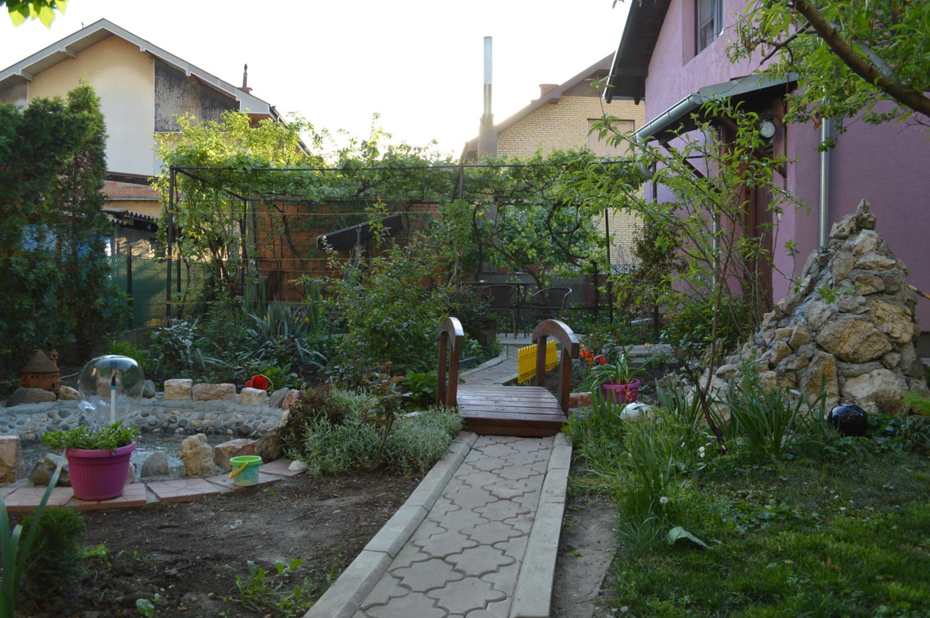 Photo 9