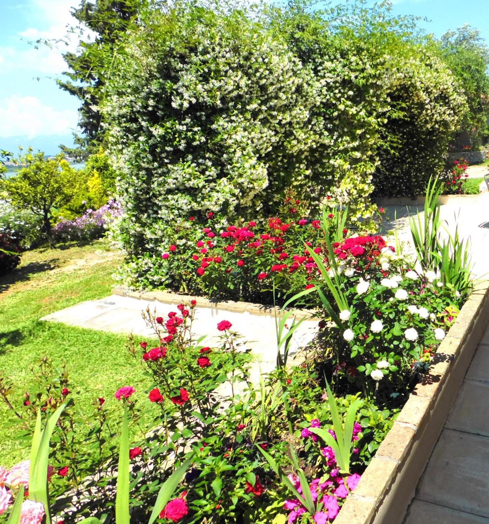 Olga's Hill view 3