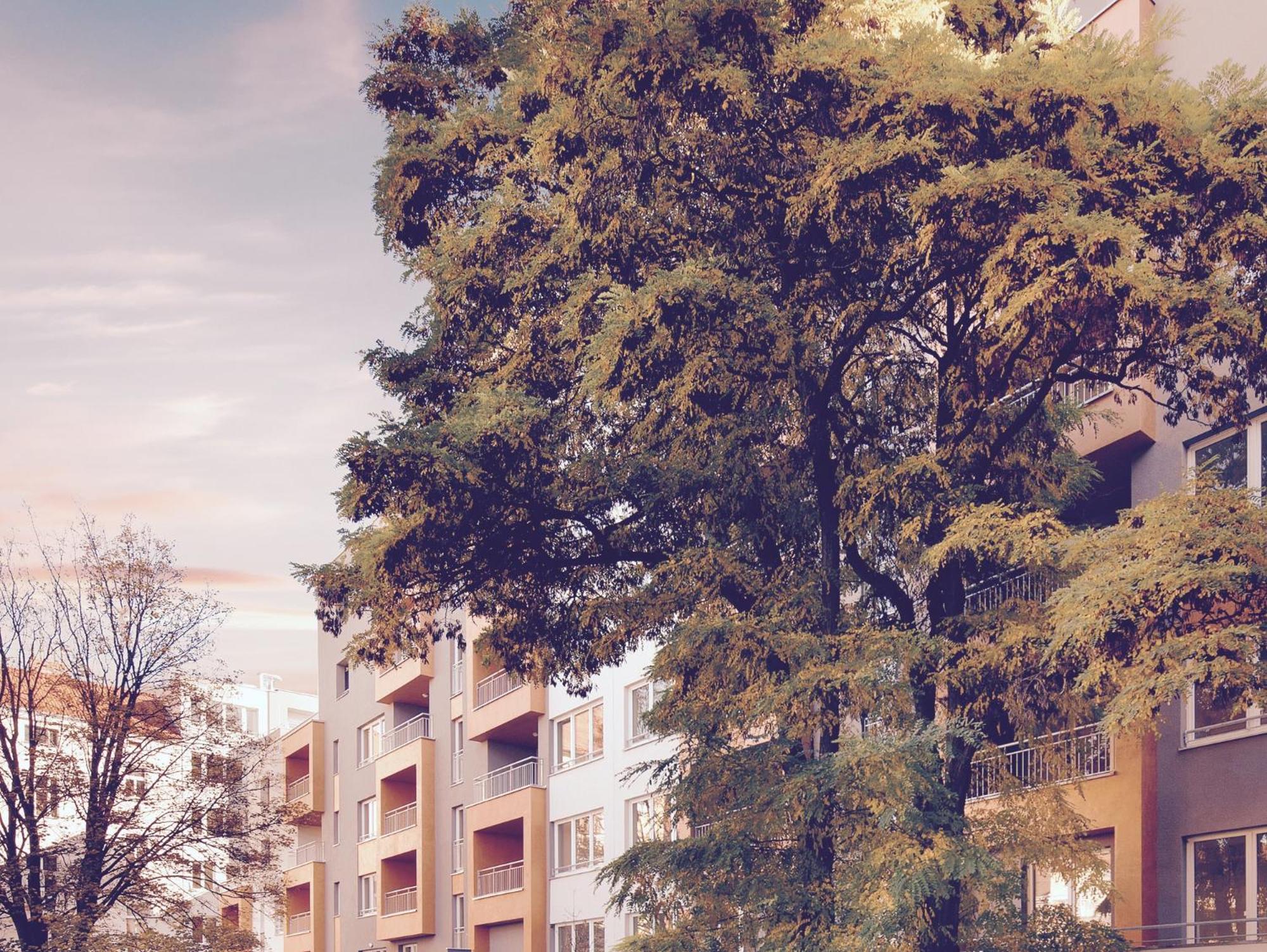 Apartement Blanc de luxe