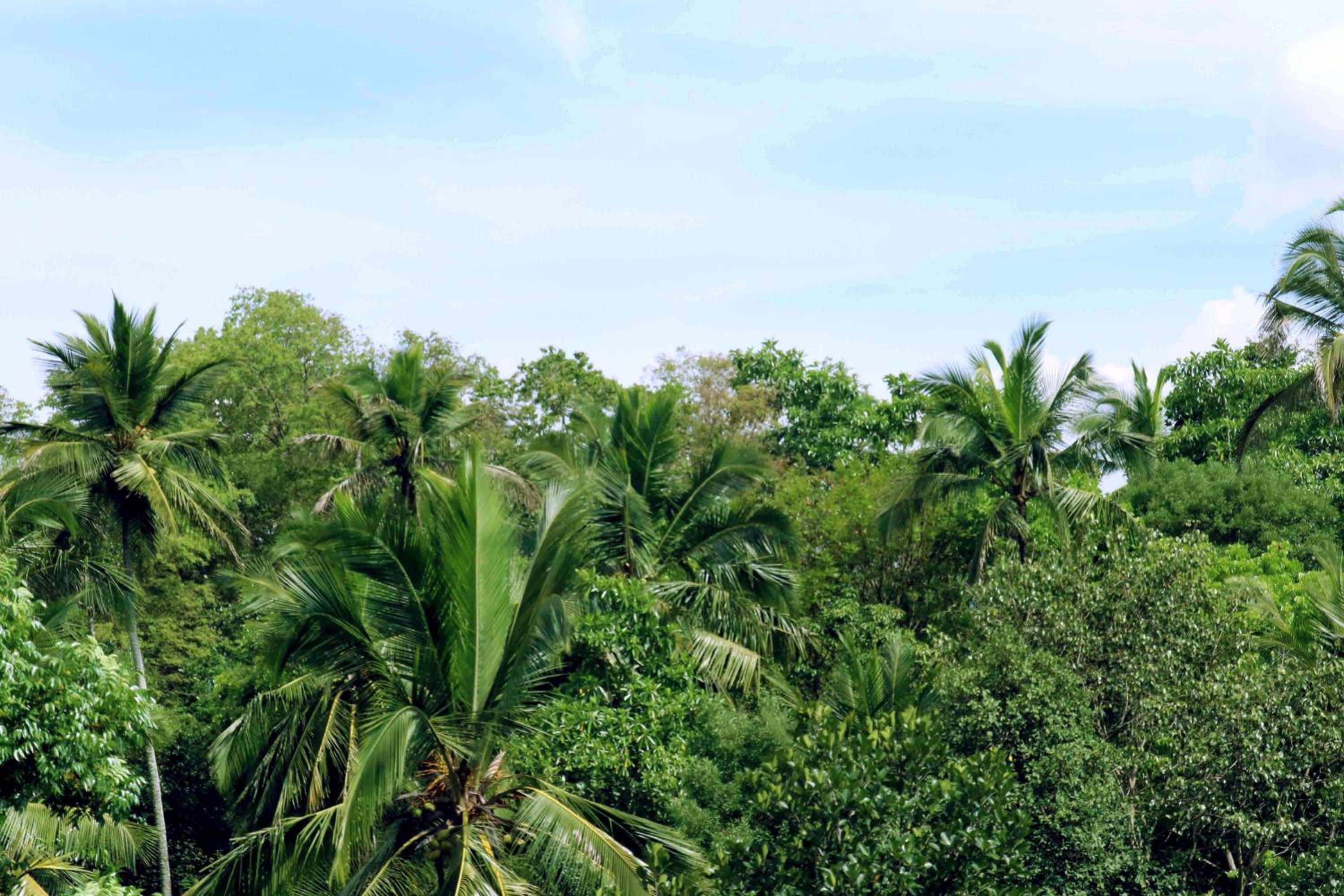 Villa Royce view 5