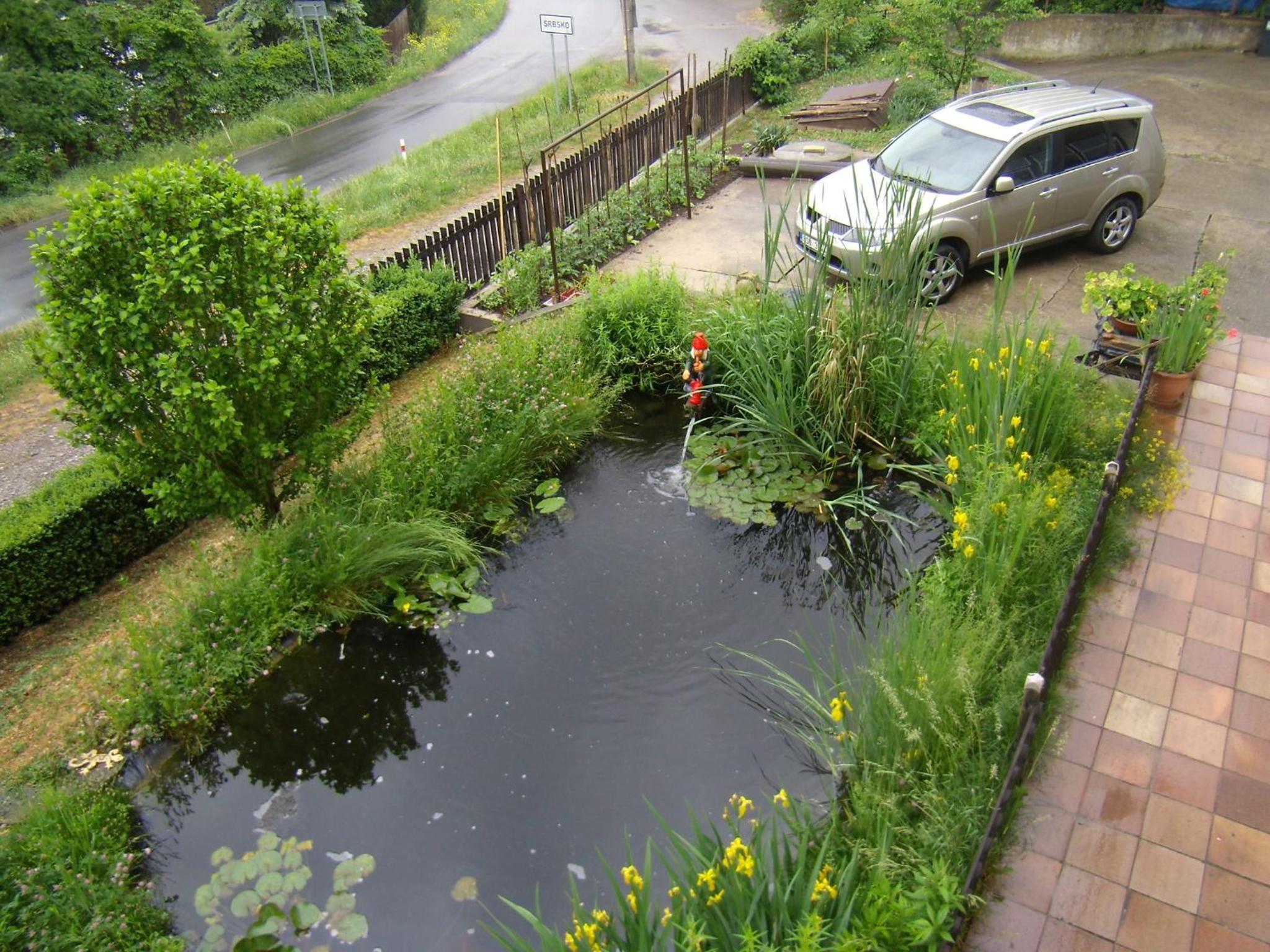 Photo 7