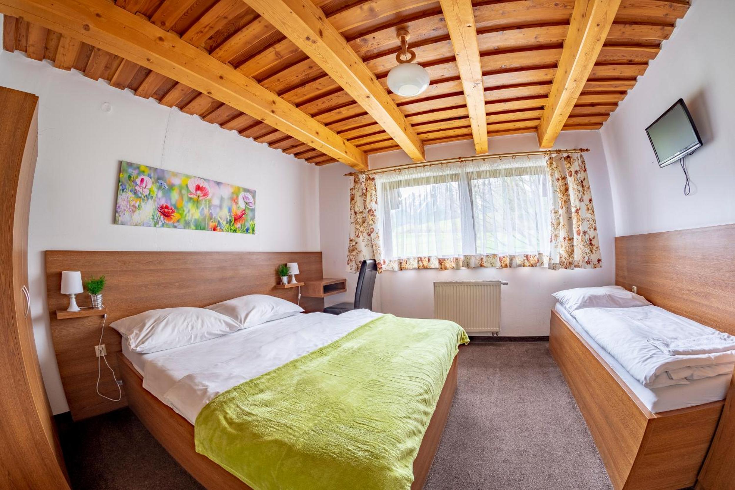 Pension Vasko view 4