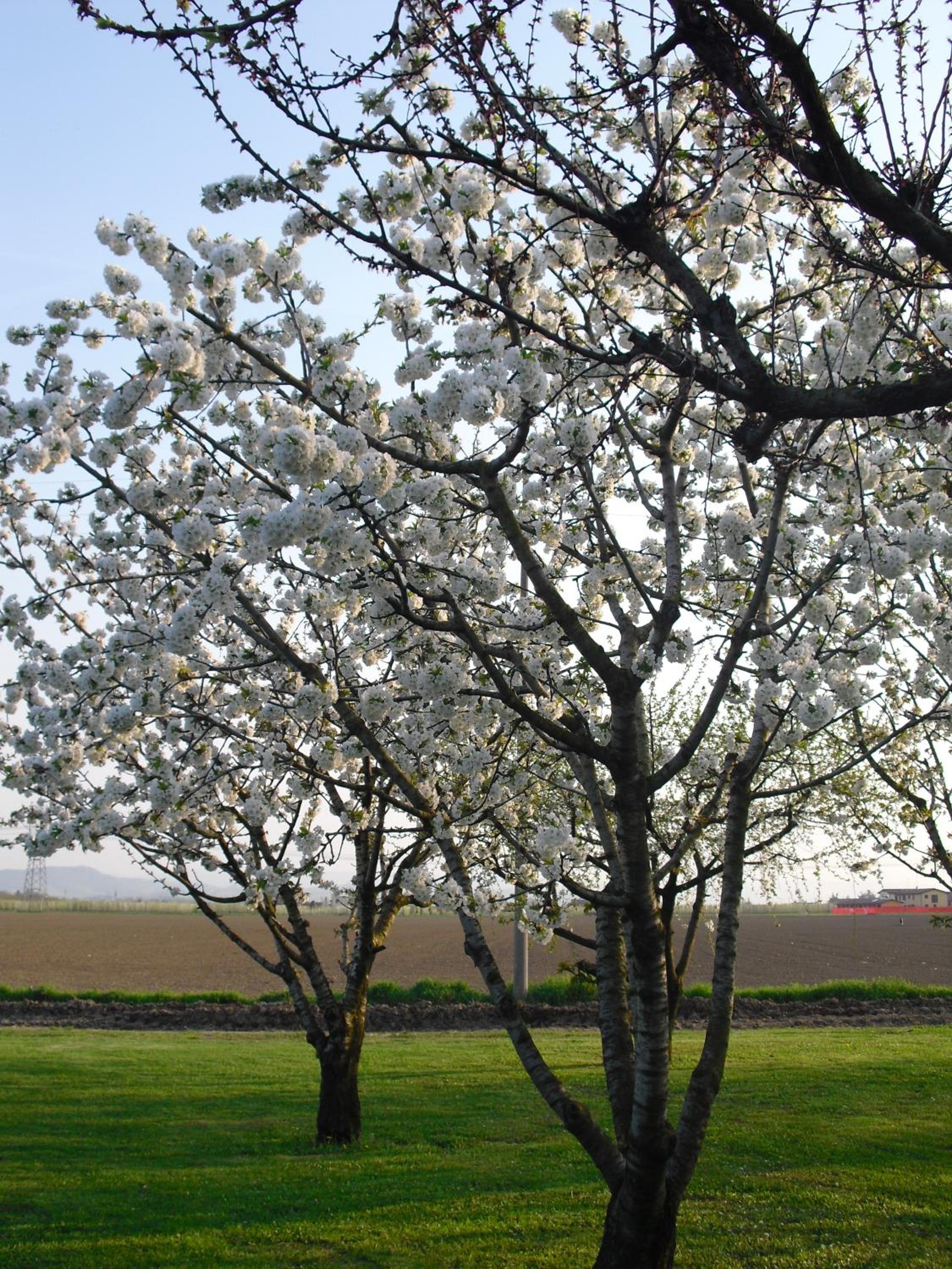 Agriturismo La Lupa