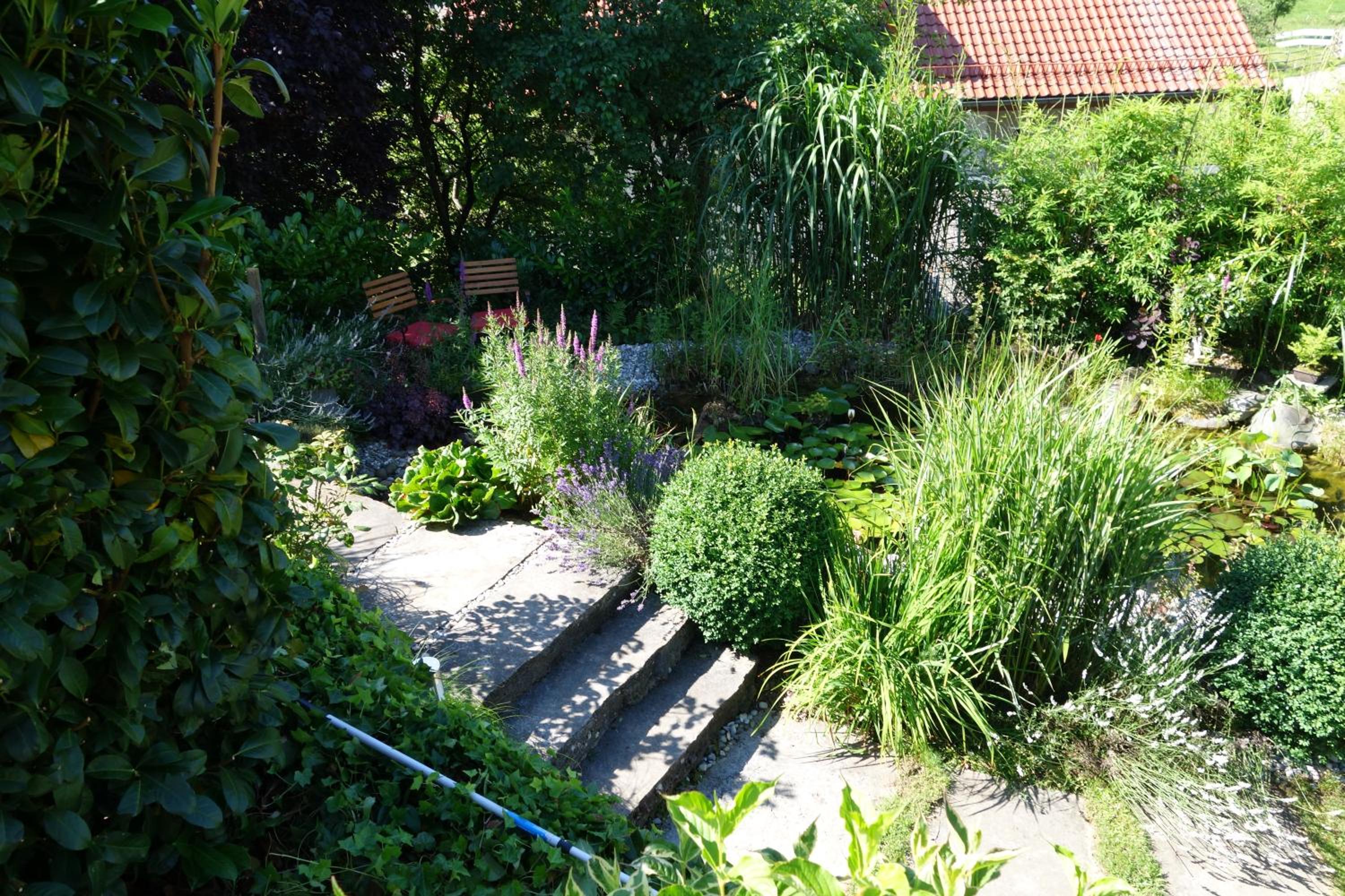 Photo 10