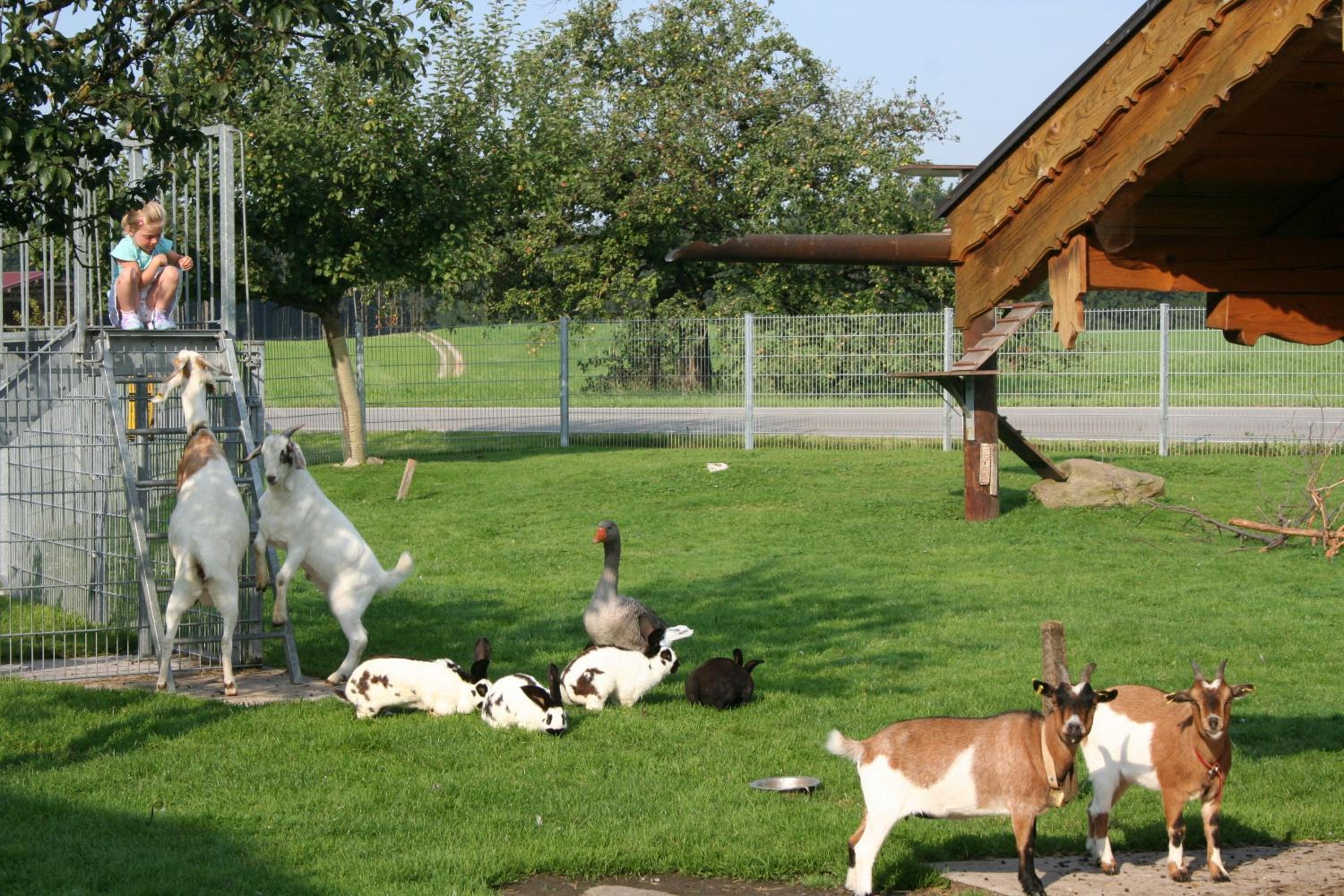 Wimmerhof