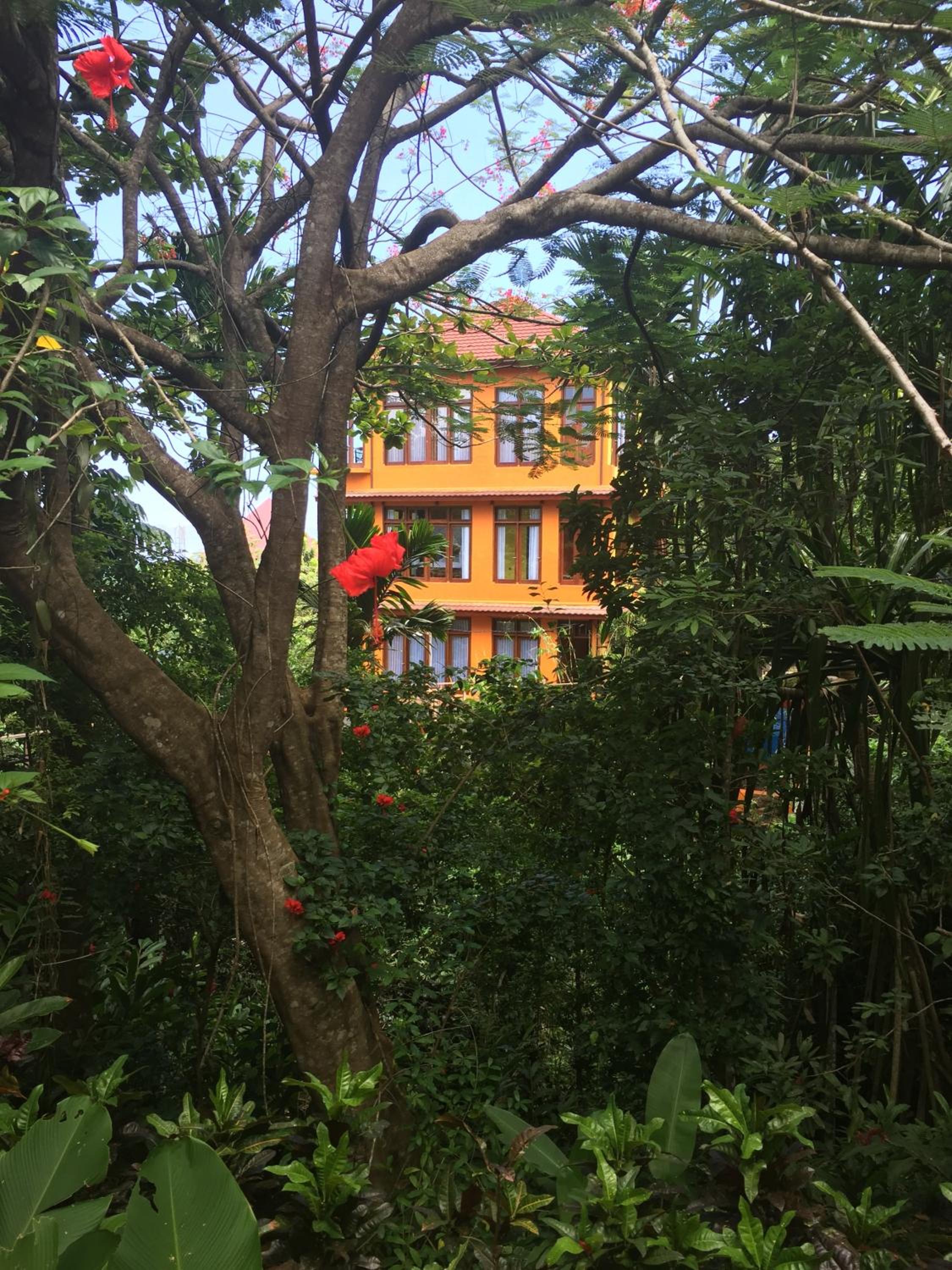 Photo 132