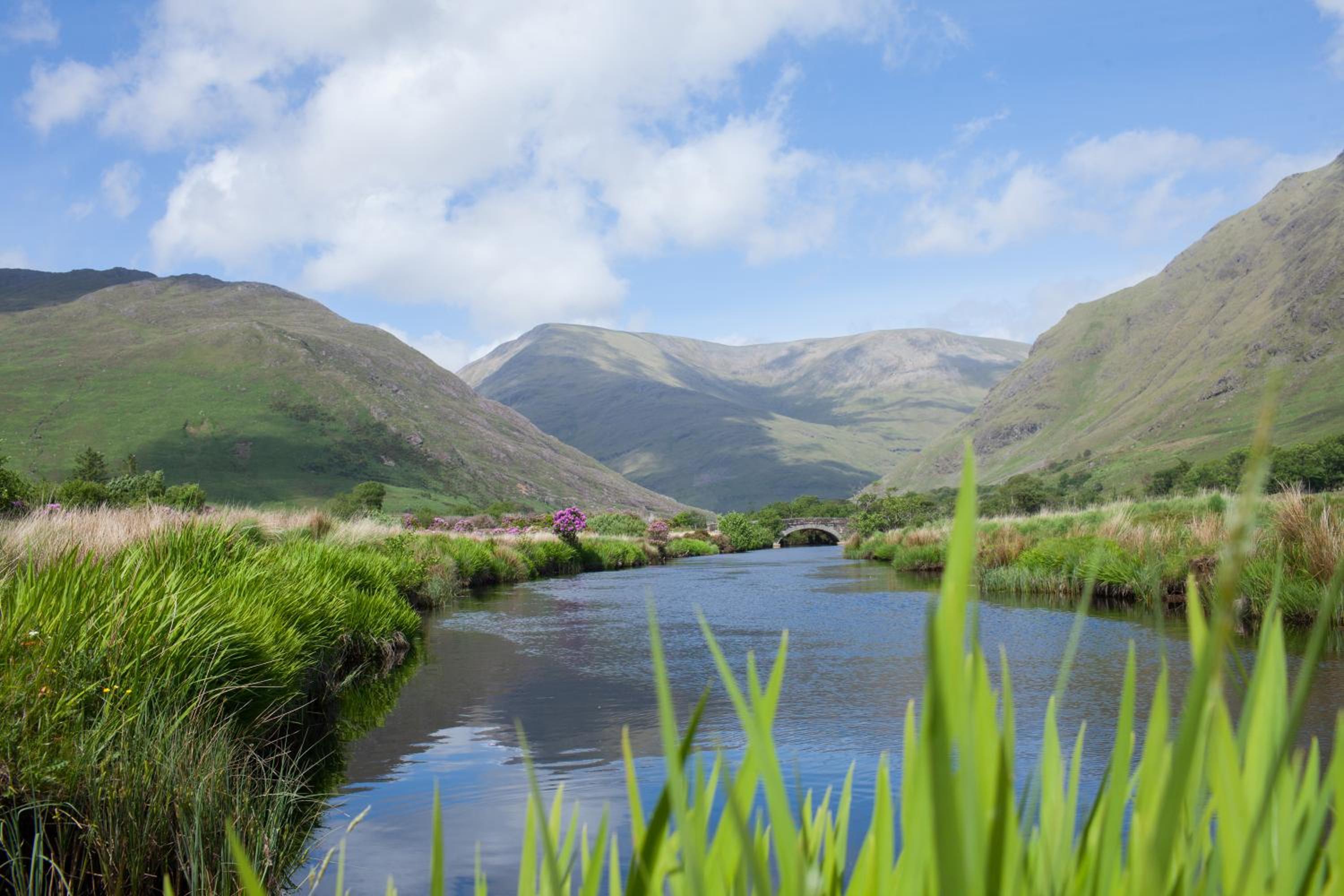 Wild Atlantic Hostel view 5