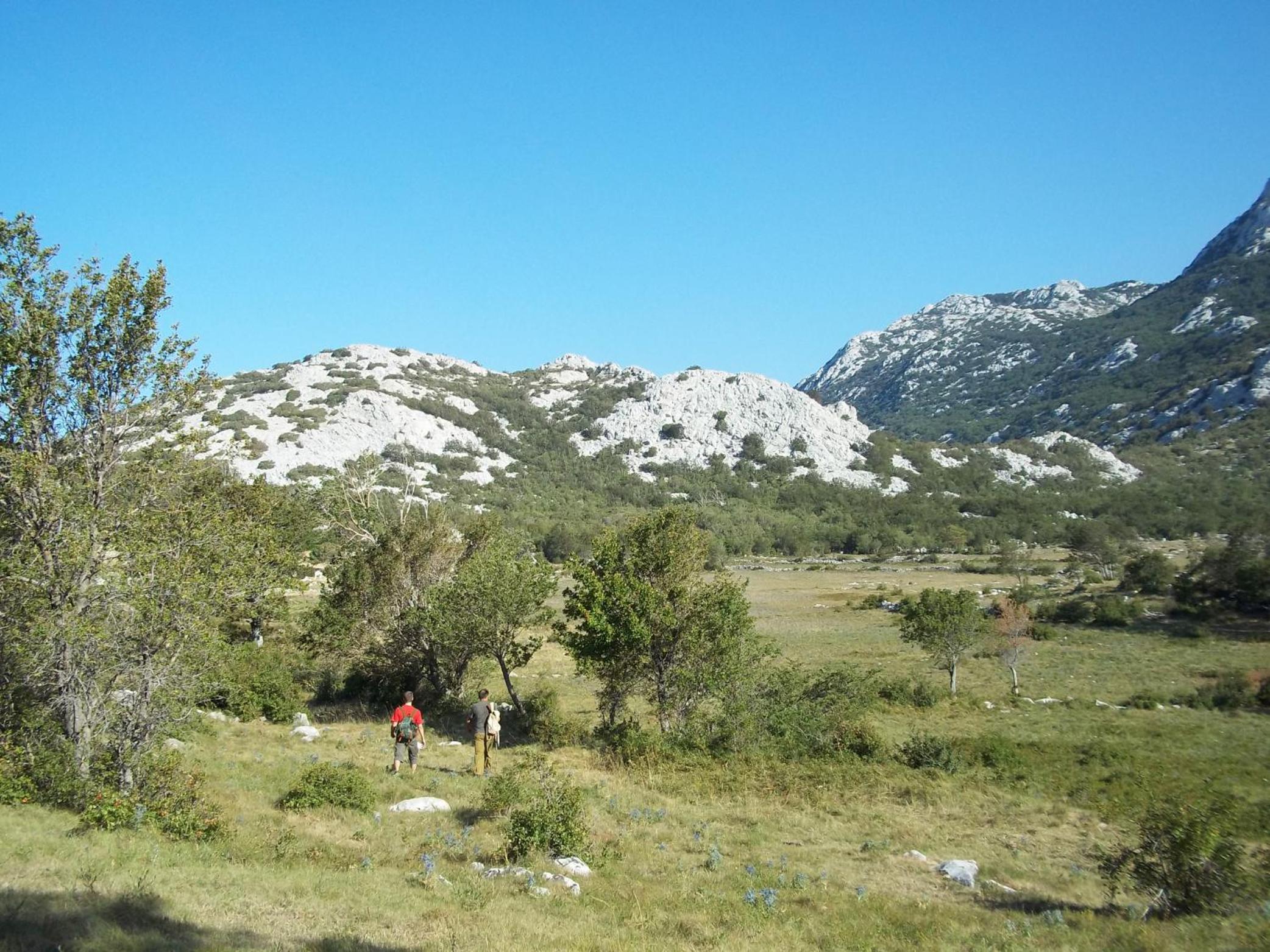 Photo 46