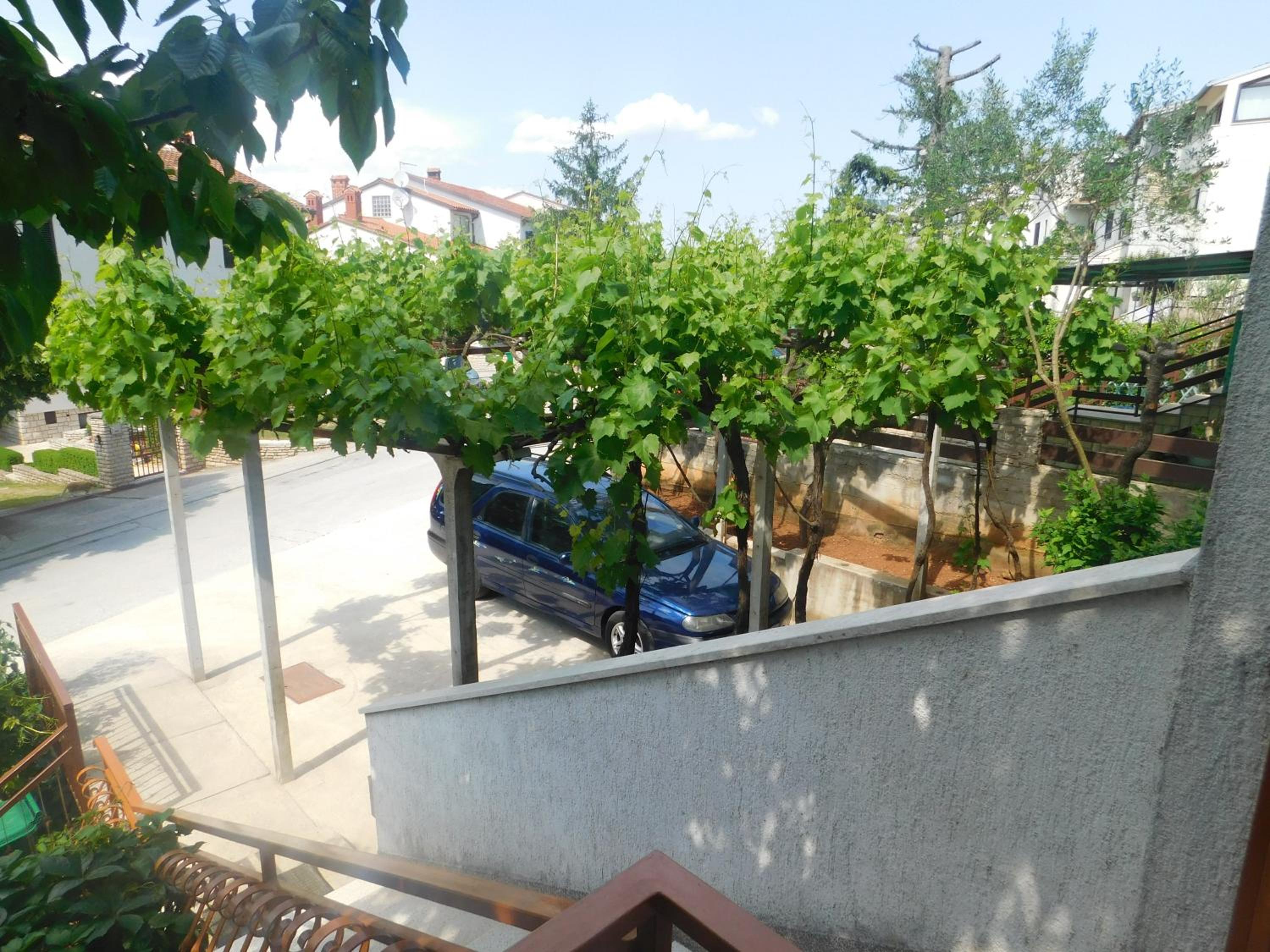 Photo 48