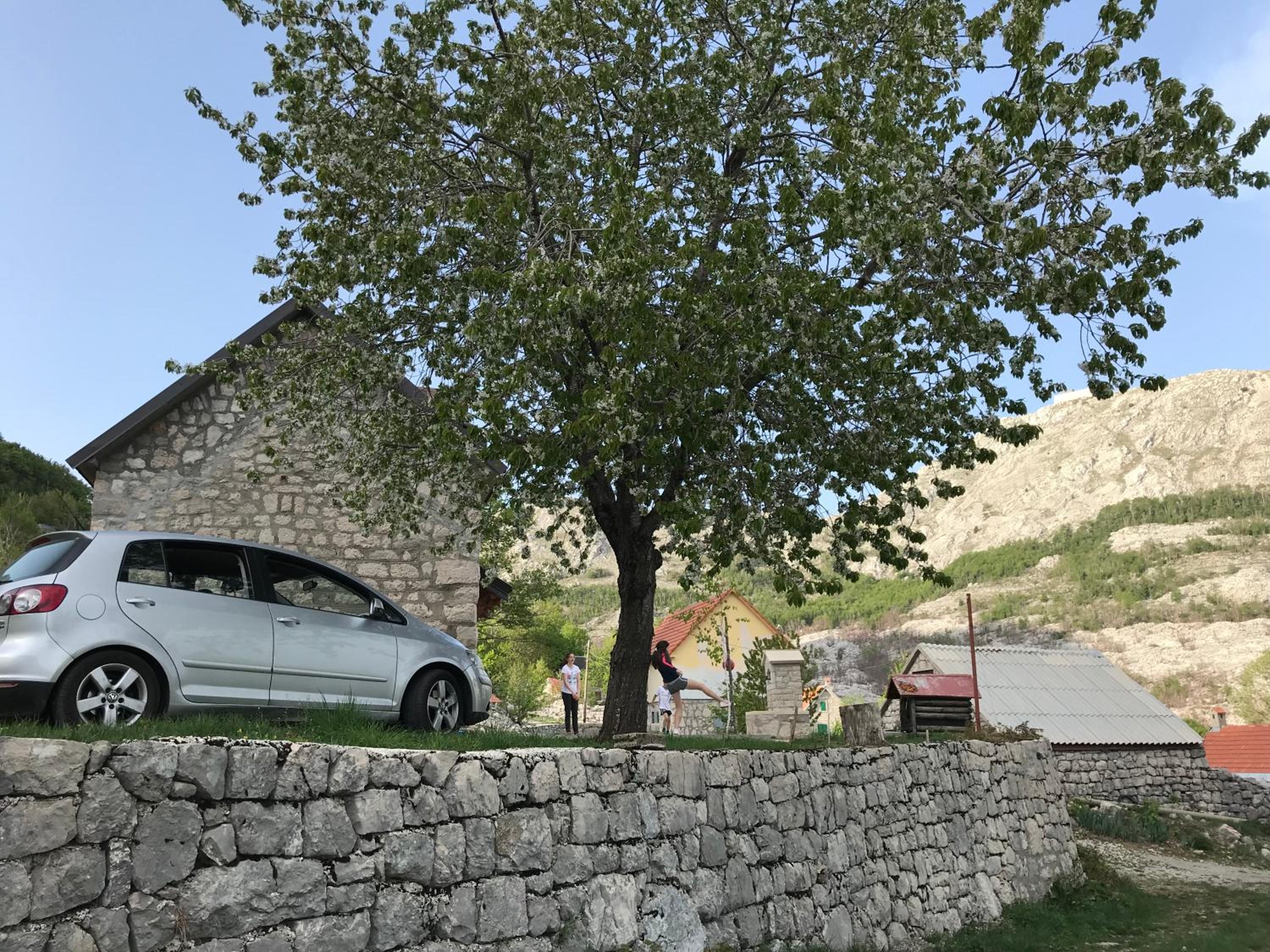 Photo 18