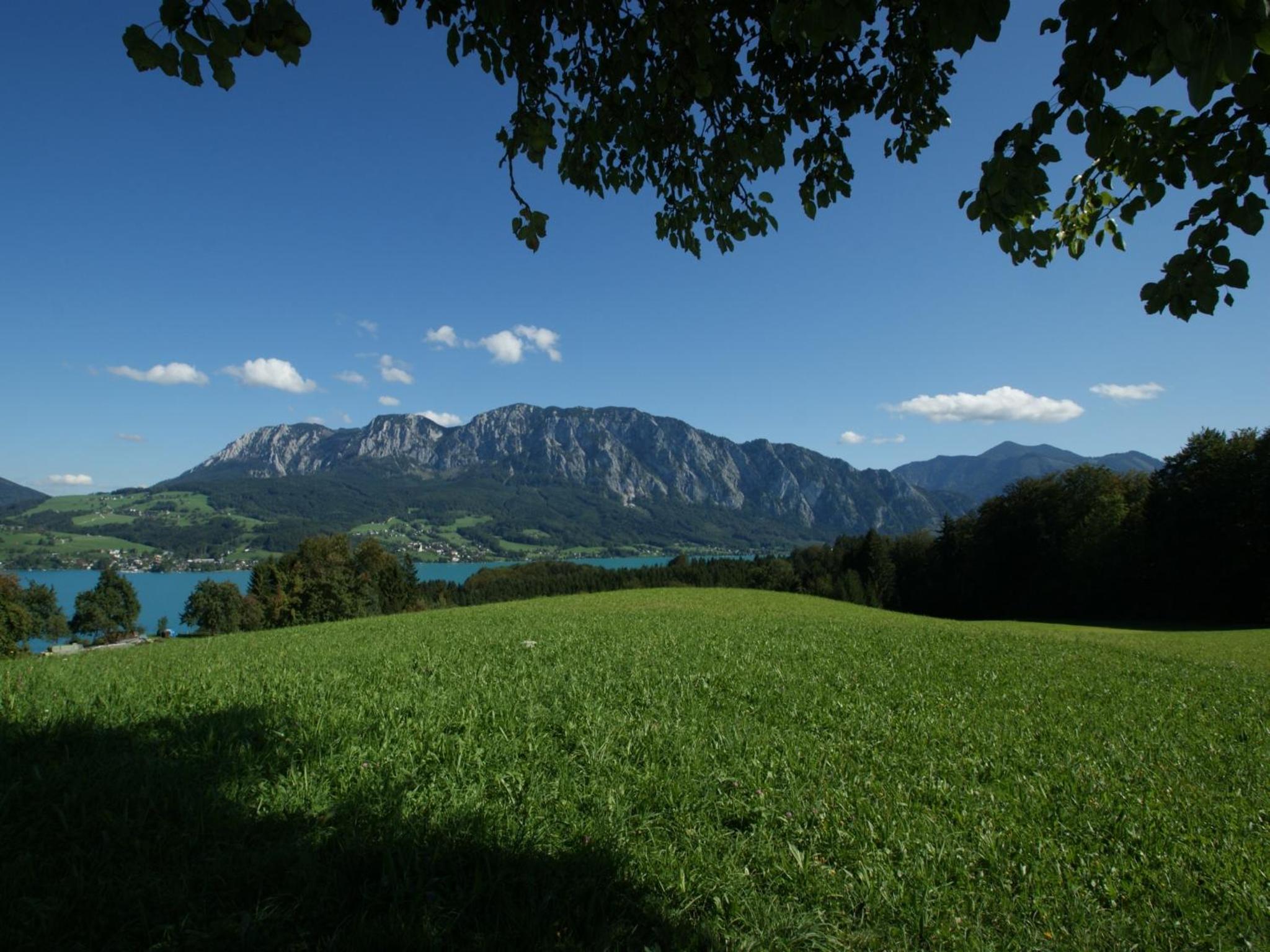 Biobauernhof Nussbaumer