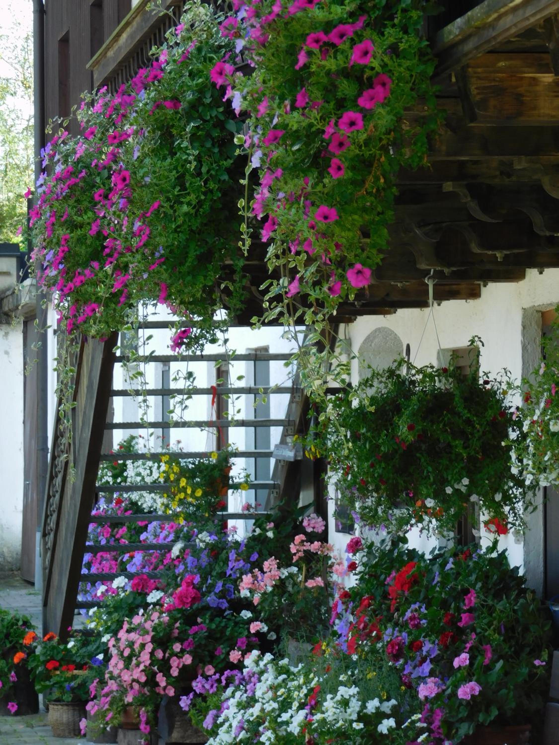 Photo 40